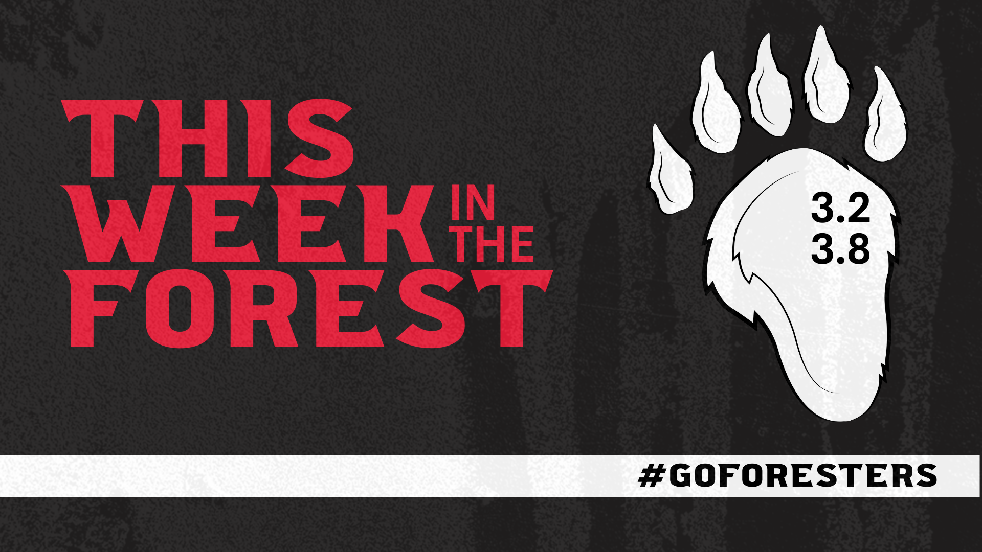 This Week in The Forest