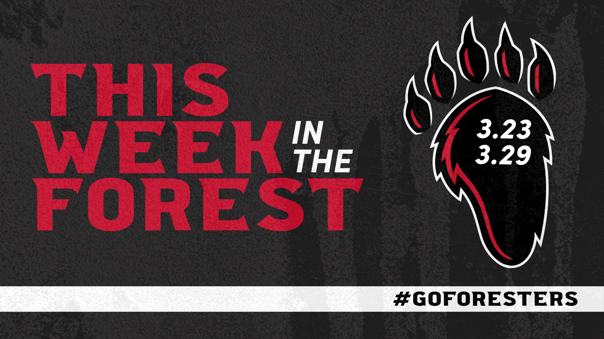 This Week in The Forest