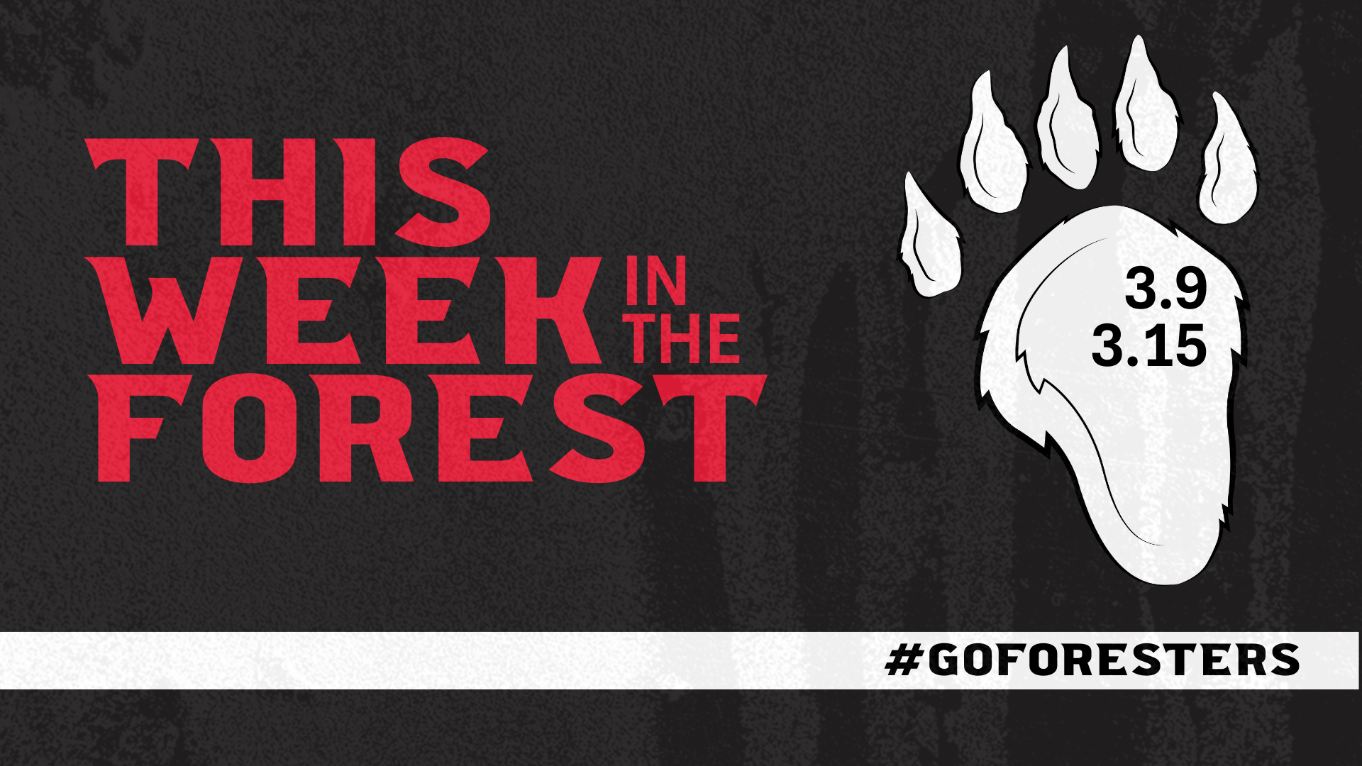 This Week in The Forest