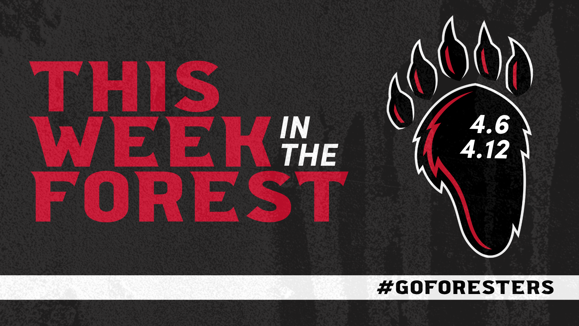 This Week in The Forest