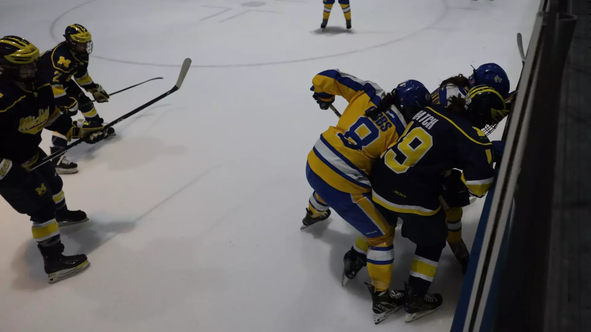 Lake State and UM Dearborn struggle for the puck along the boards.