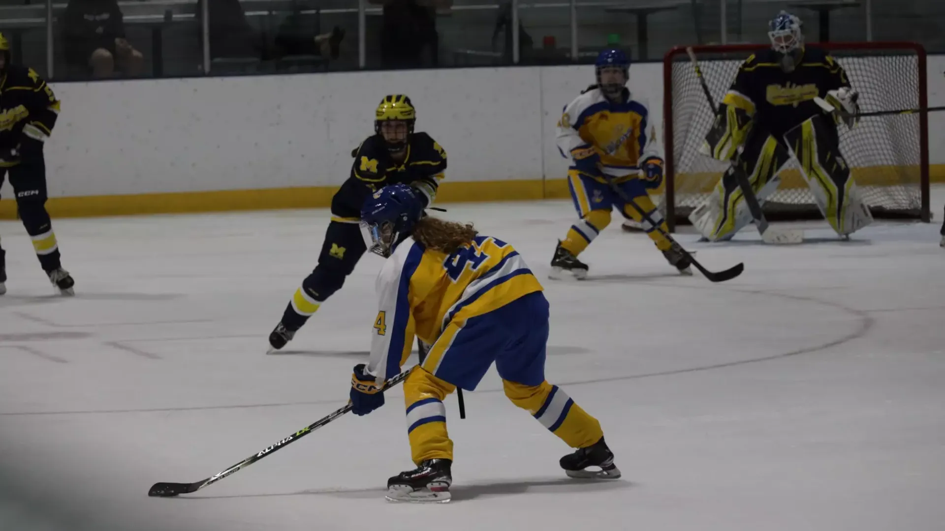 Kaylee Eiriksson loads up for a shot against UM Dearborn