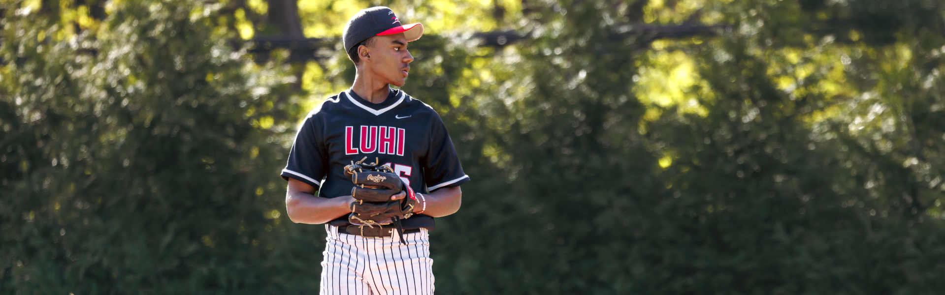 Baseball Action Shot