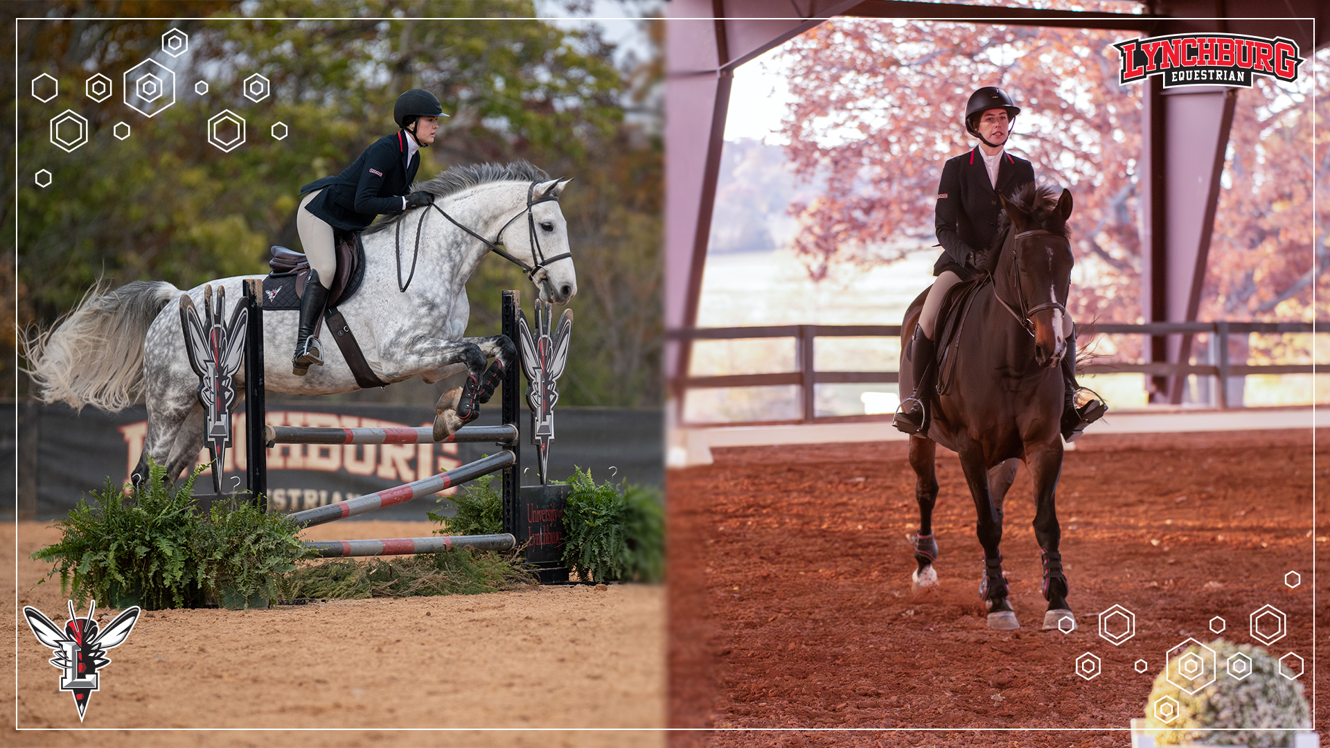 2025-26 Equestrian ODAC ROWs 111225 - Story Cover.png