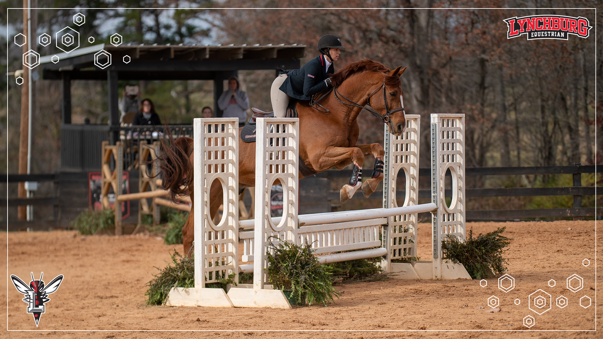 2025-26 Equestrian vs Sewanee 111525 - story cover.png