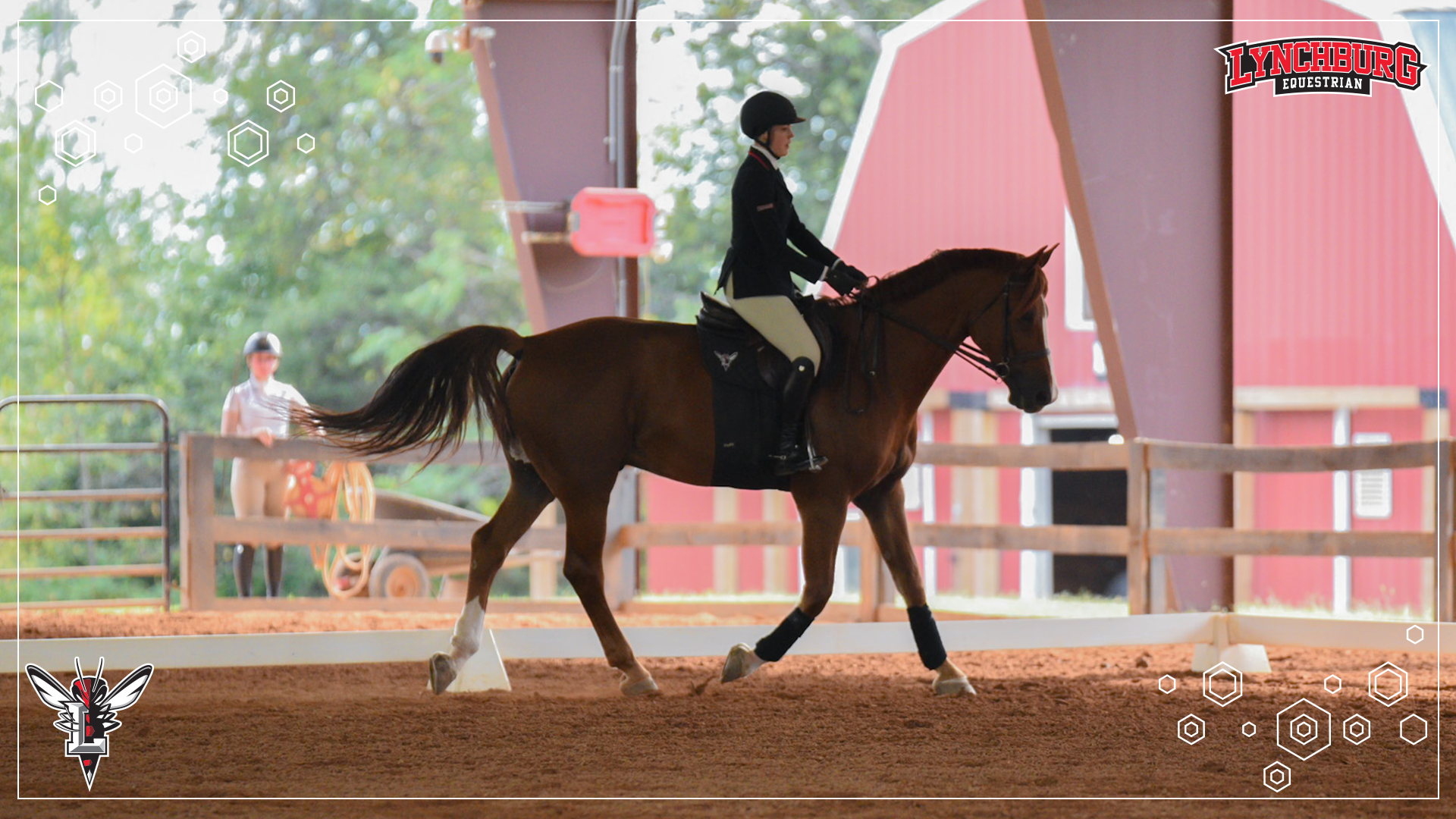 2025-26 Equestrian Bellfield - Story Cover.png