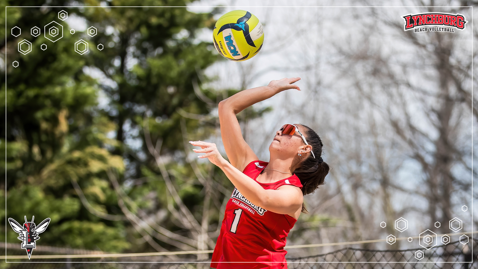 2025 BVB Palmer Story Cover