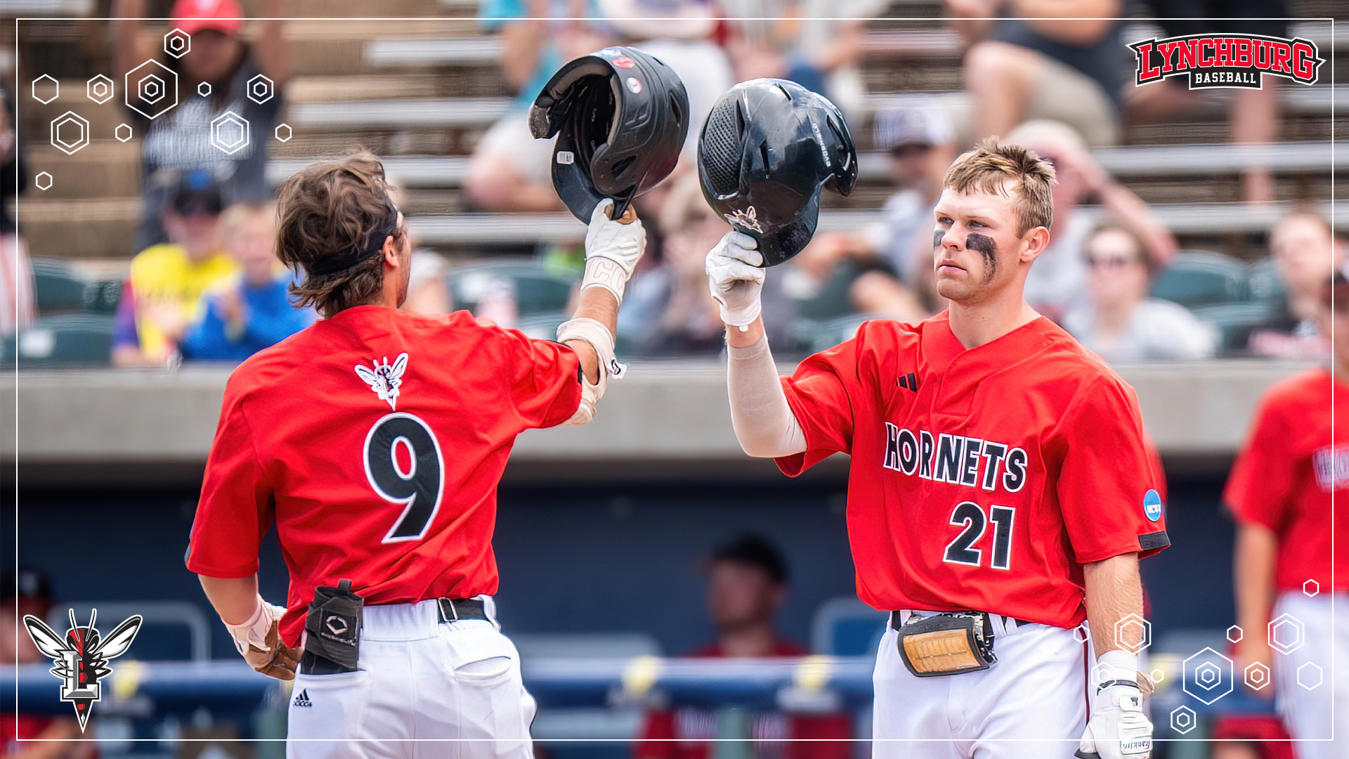 2025 Baseball VaSID - Story Cover.png