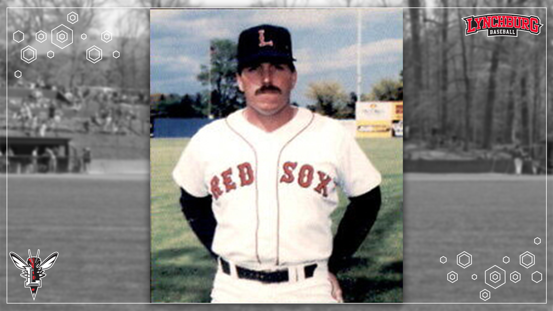 Baseball Buddy Bailey - Story Cover