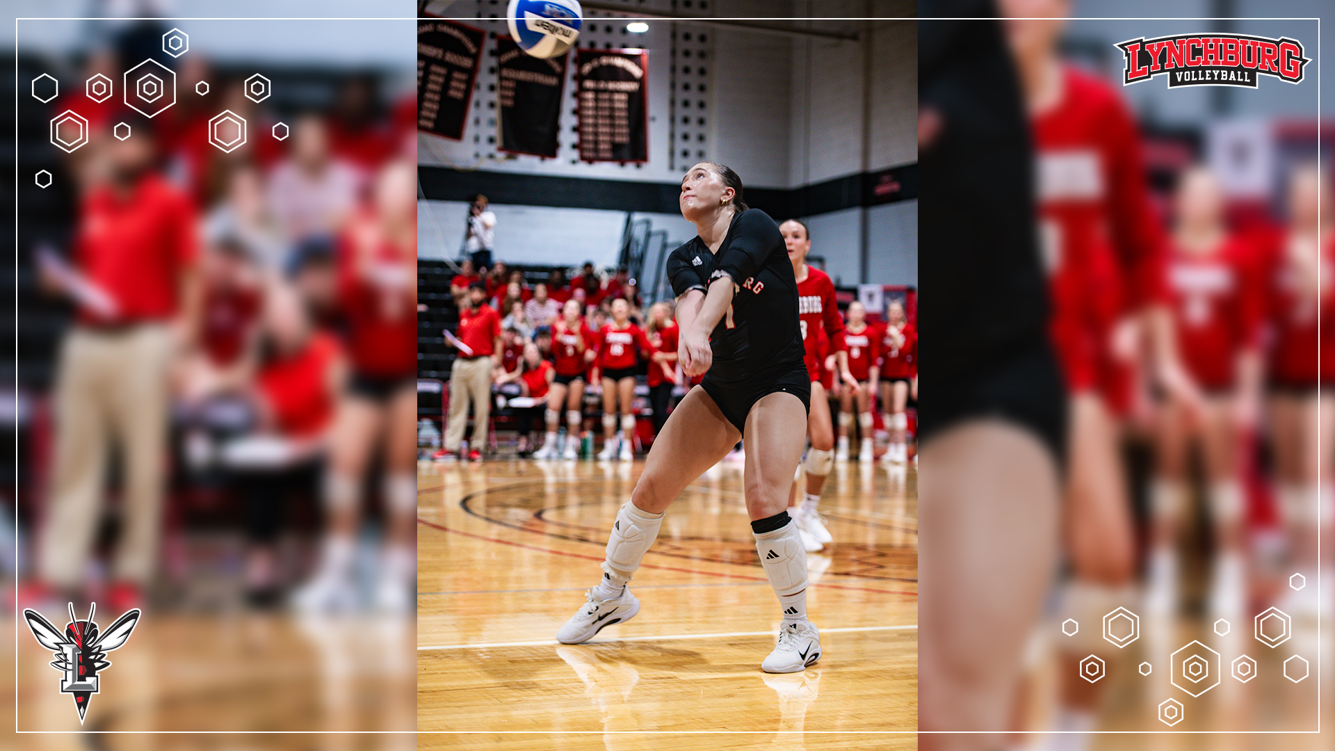 2026 Women's Volleyball ODAC AOW - Story Cover