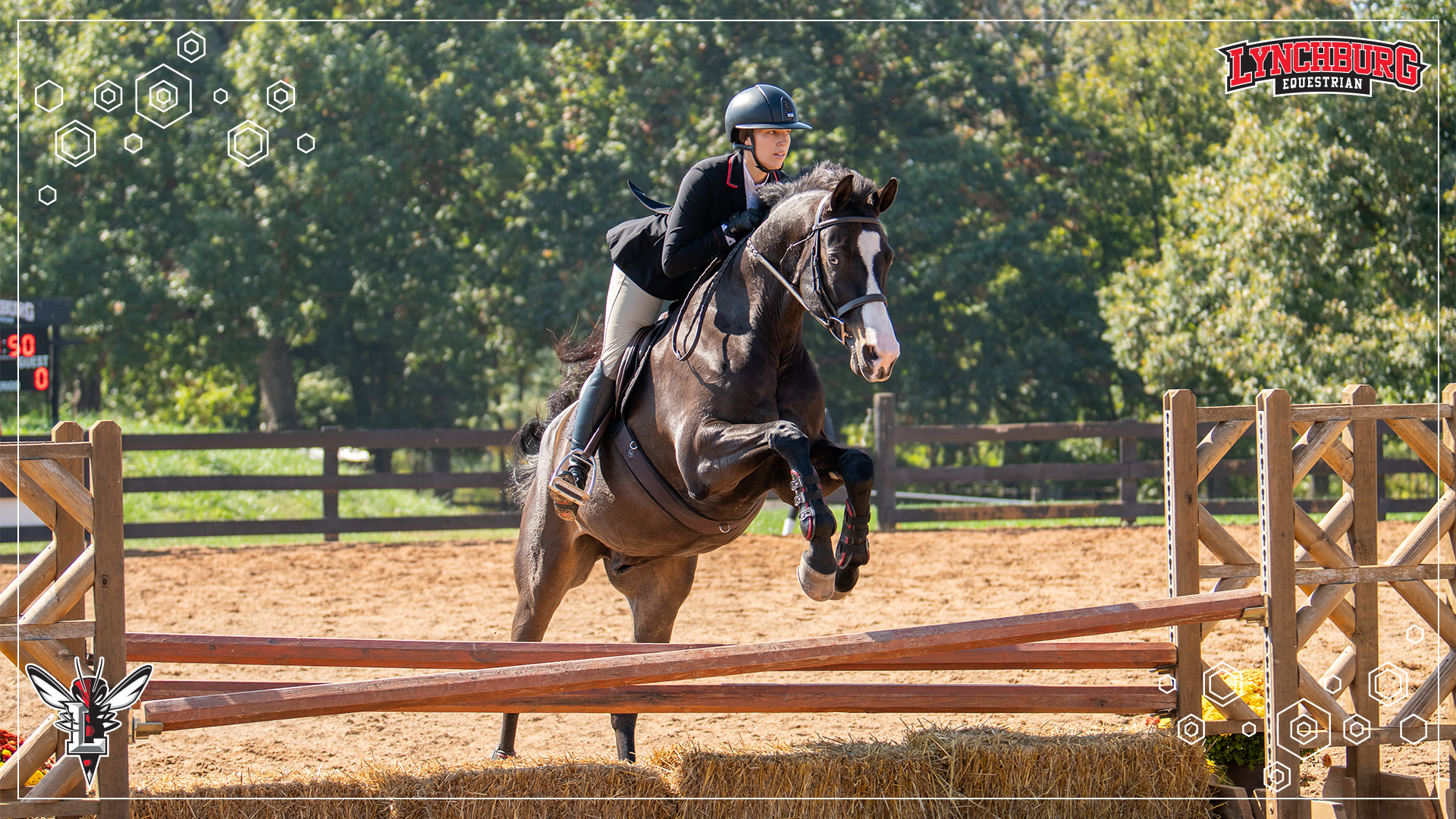 2026-27 Equestrian vs SBC 1017 - Story Cover