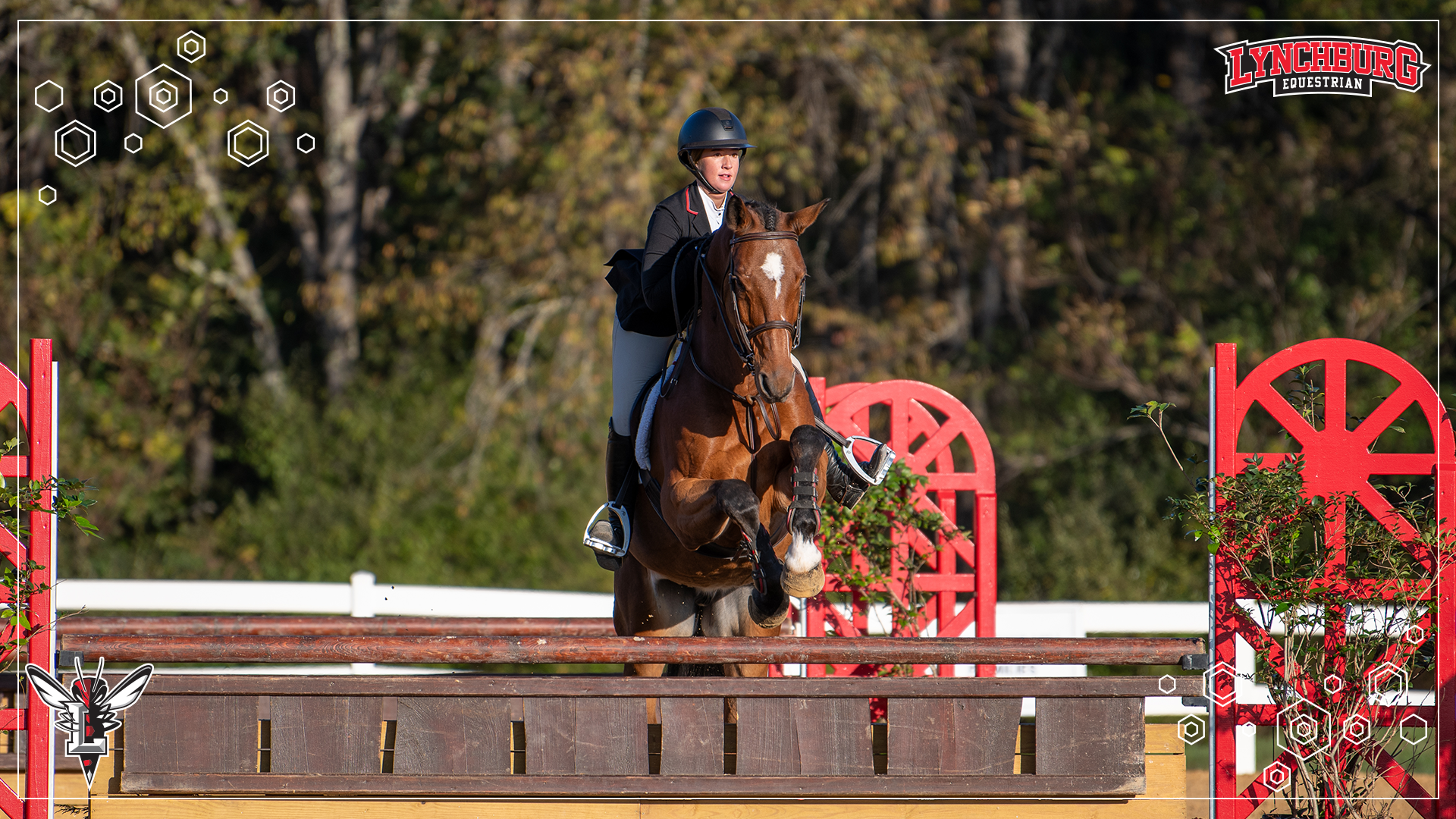 2026 Equestrian ODAC Traditional Champs - Story Cover