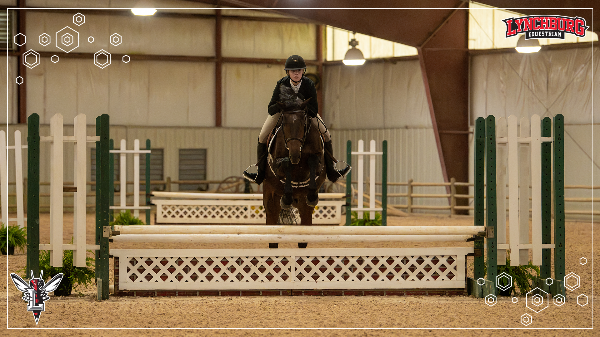 2026-27 Equestrian Hollins IHSA - Story Cover