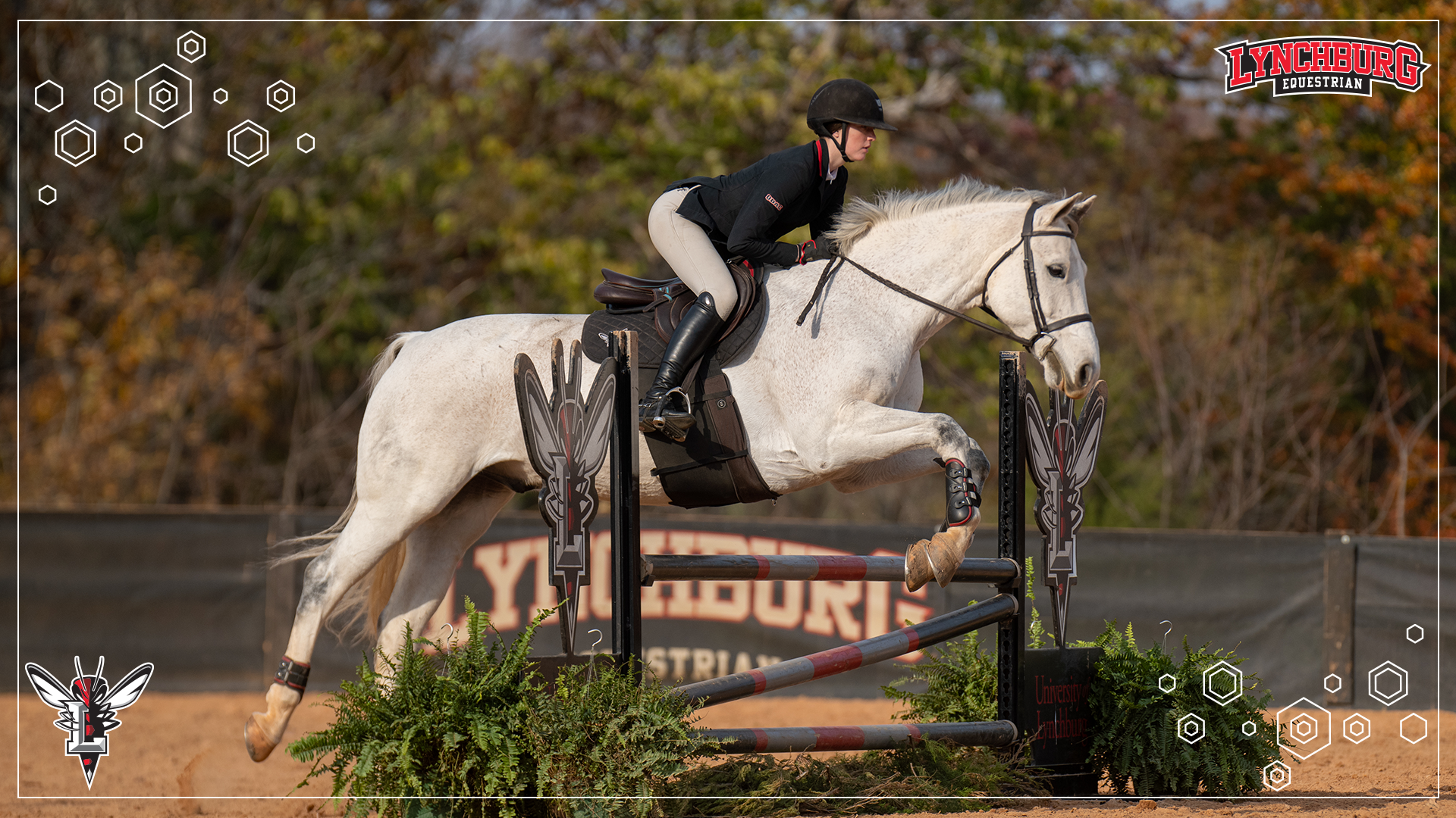 2025-26 Equestrian vs Sweet Briar - Story cover.png`