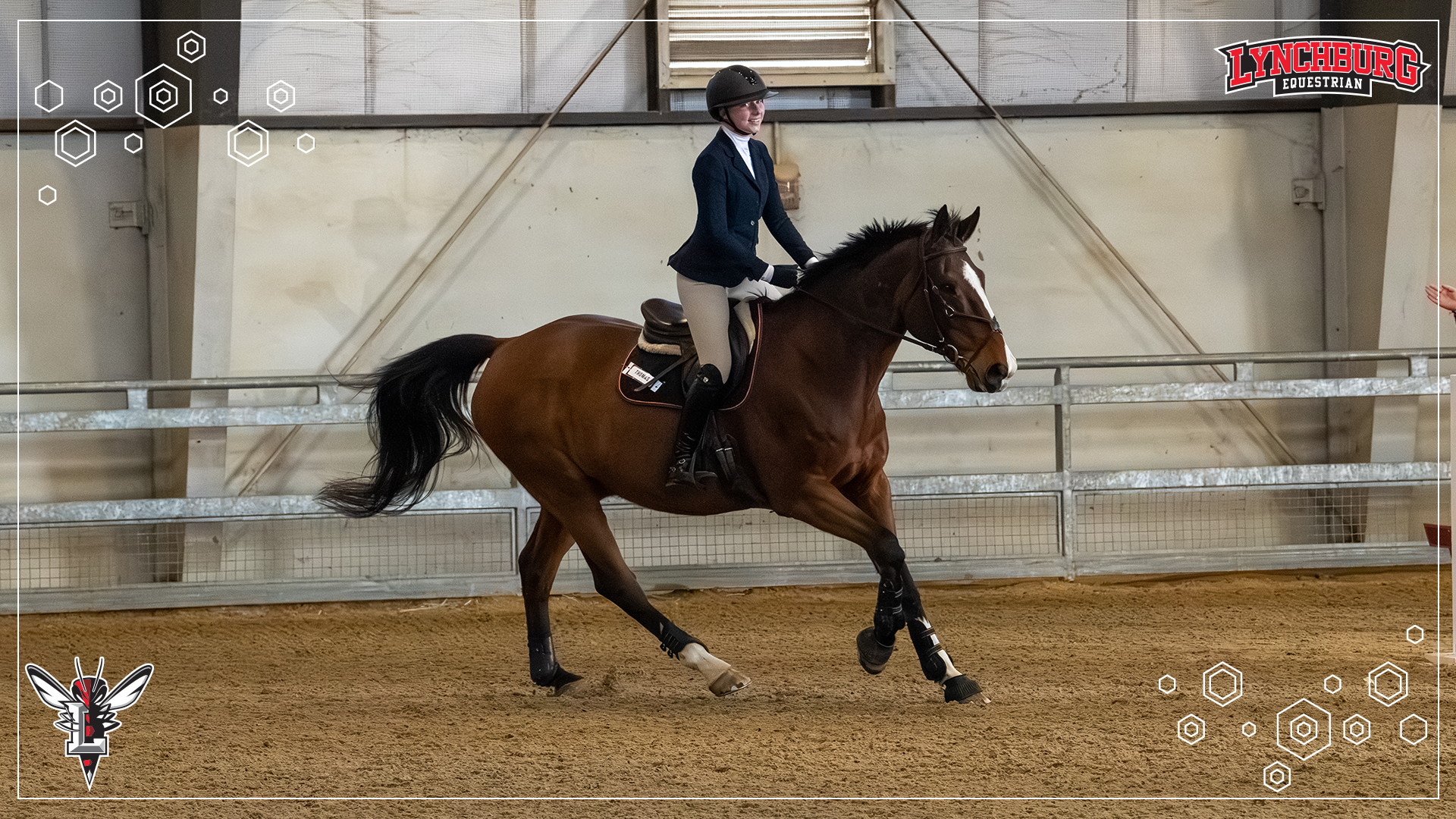 2026 Equestrian IHSA Findlay TOC - Story Cover.png
