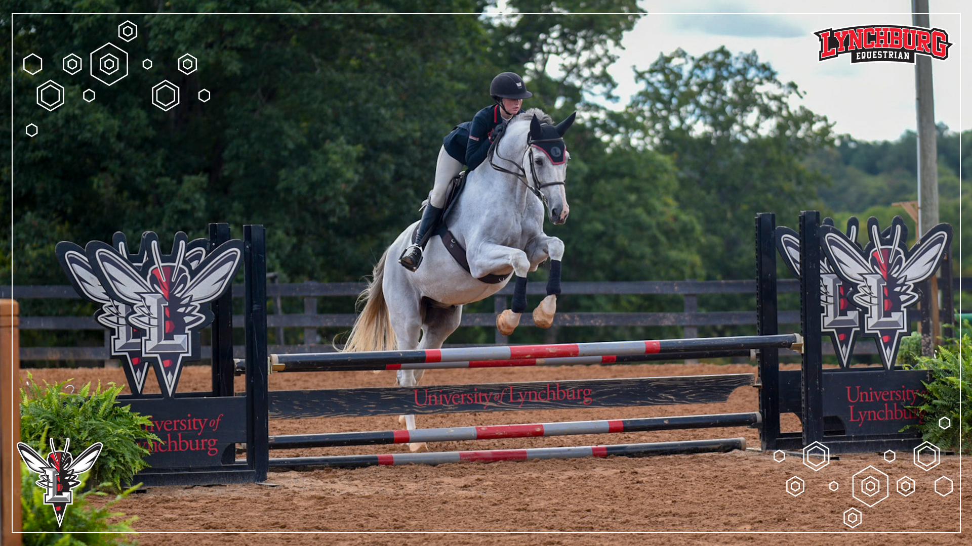 2026 Equestrian Rubin ROM - Story Cover.png