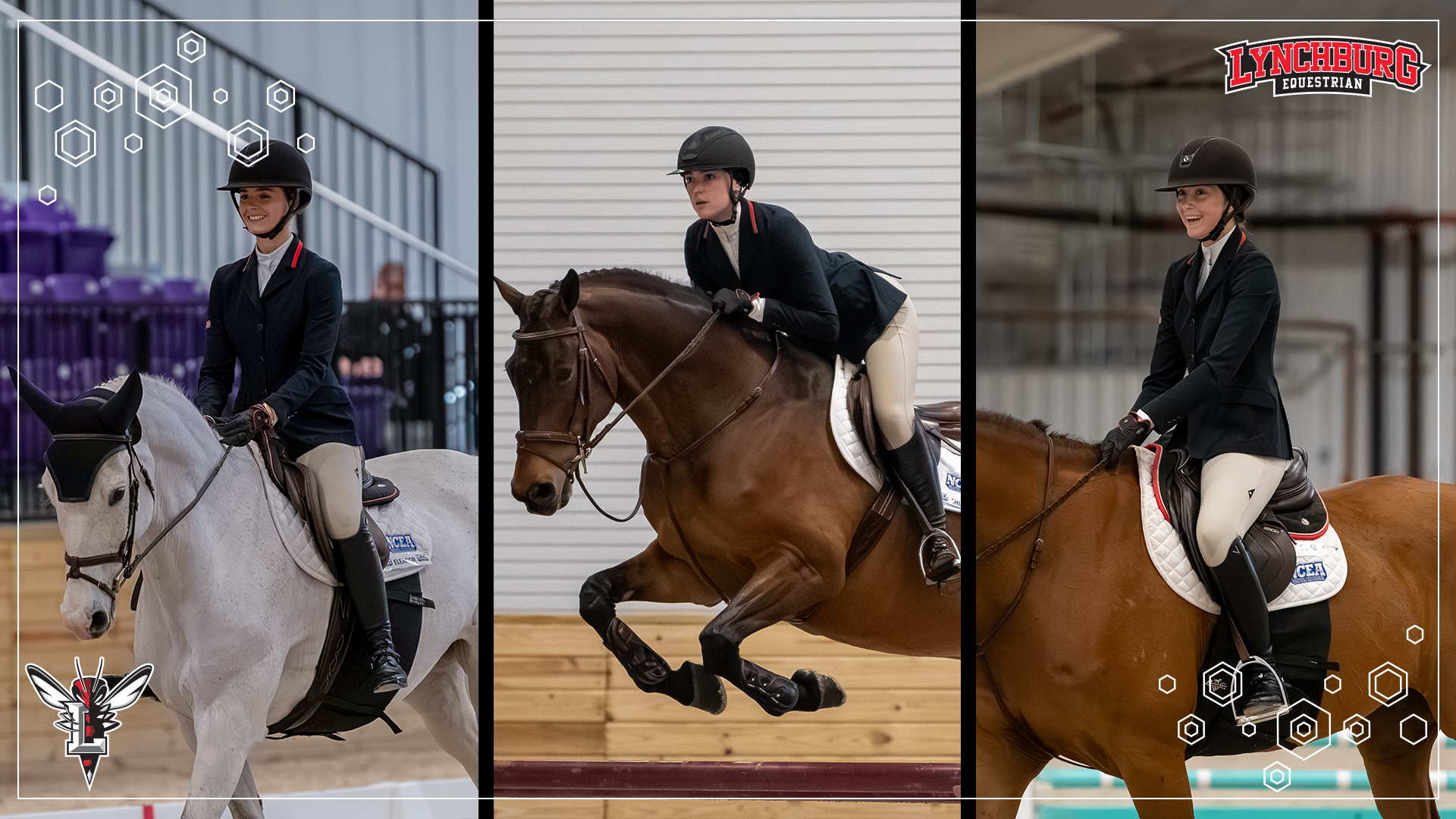 2026 Equestrian All-Championship Team - Story Cover`