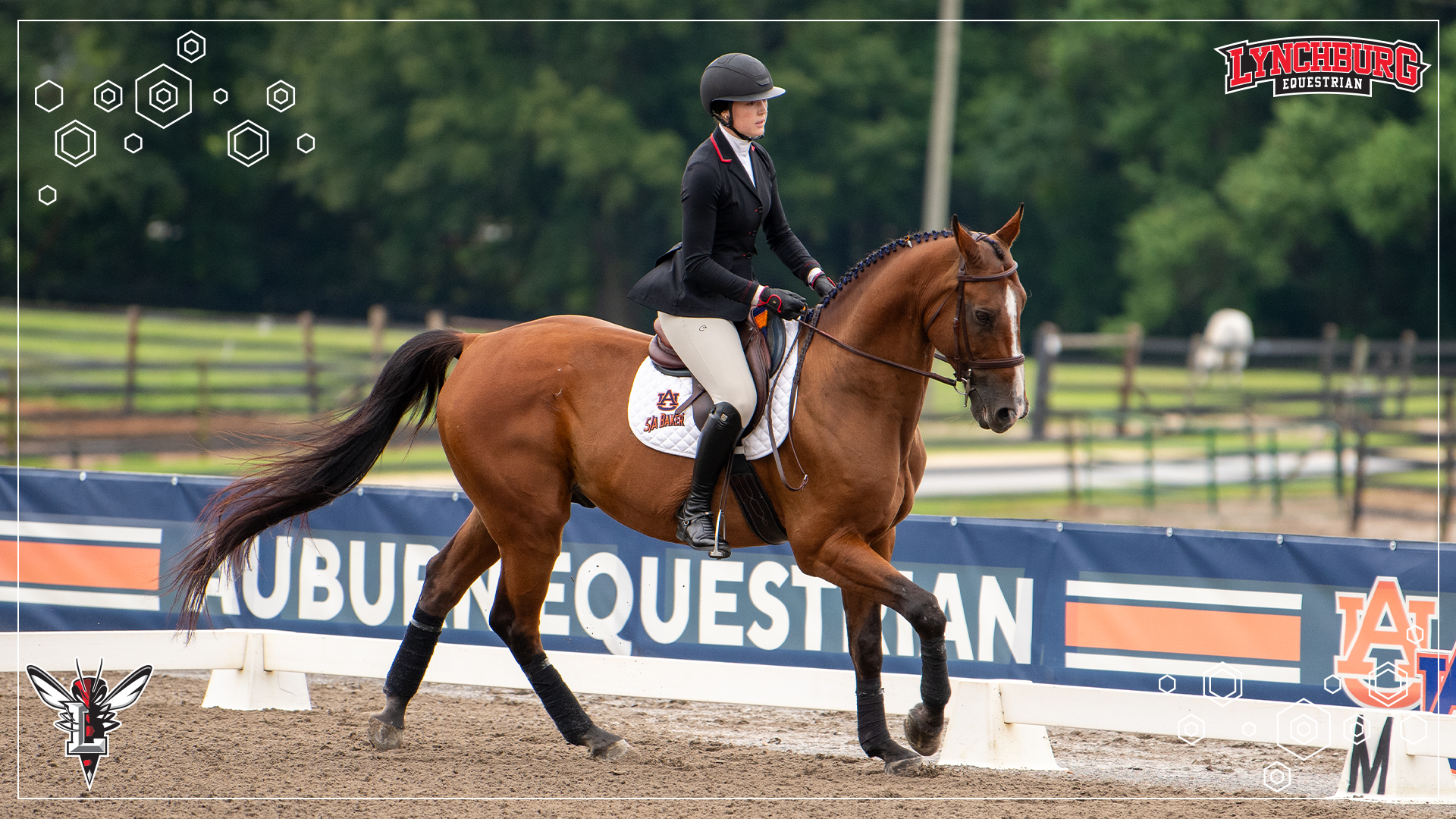 2026-27 Equestrian vs AU and BC 0925 - Story Cover