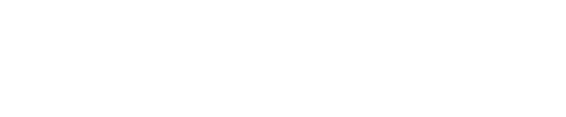 Section MACC Logo