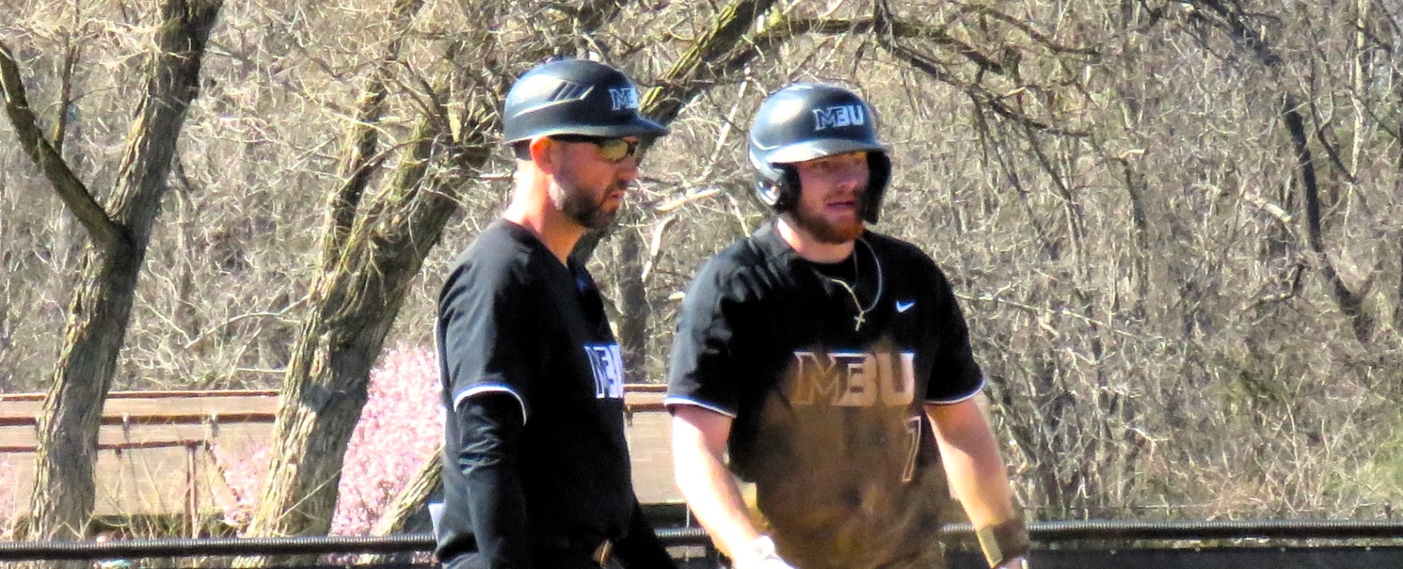 Hearn 3/16
