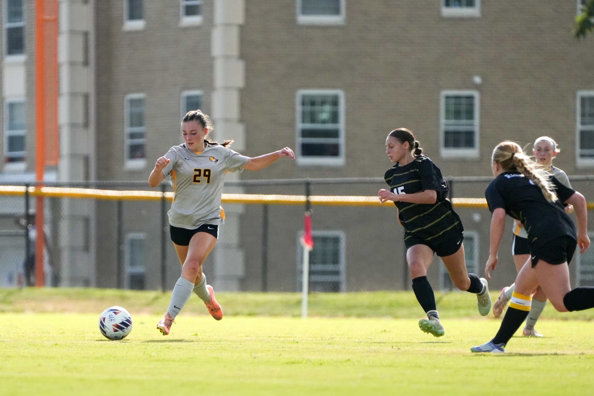 Molly Ludwig Dribble