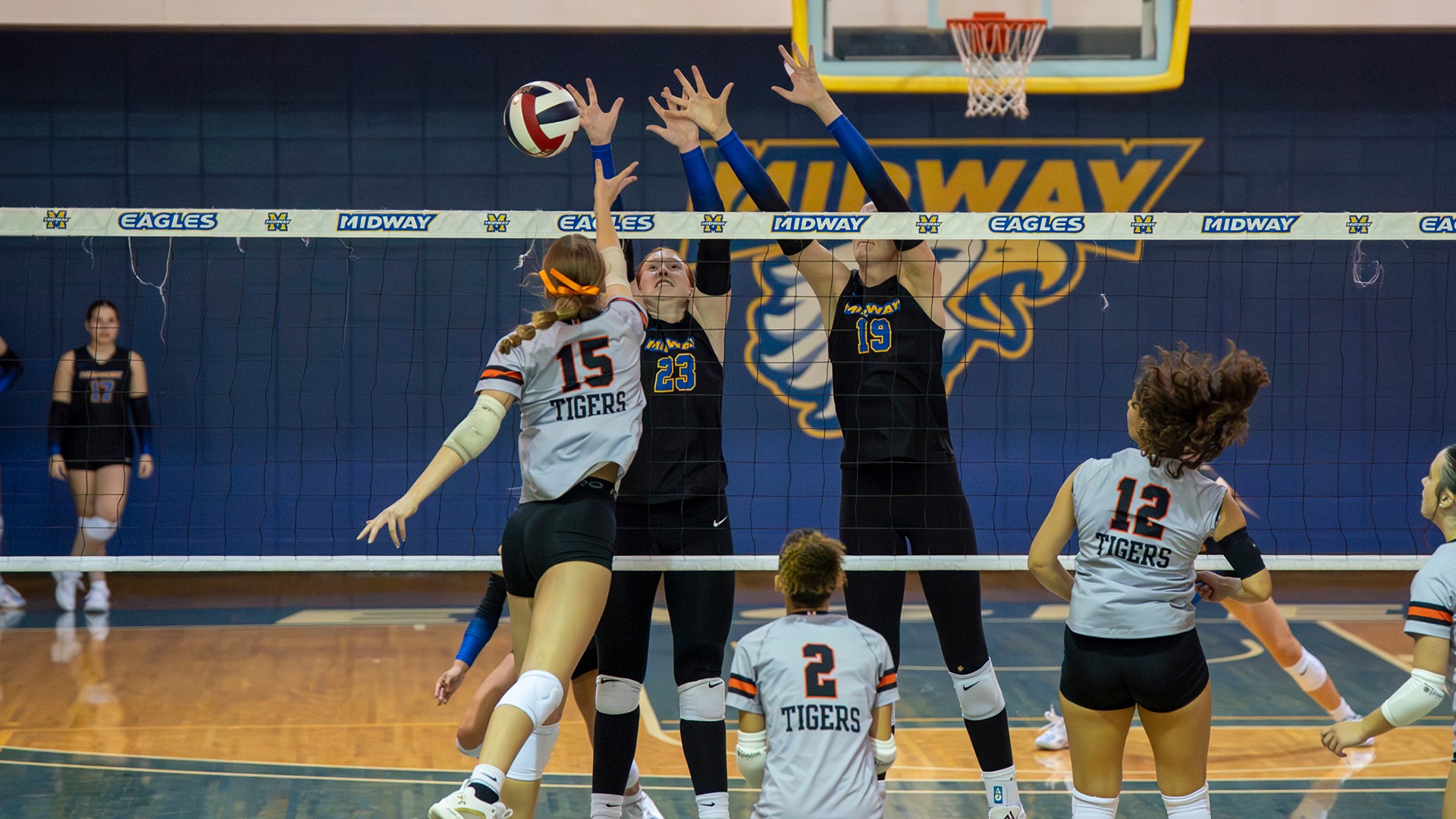 Whitehouse & Mattingly block re website (2025-26)