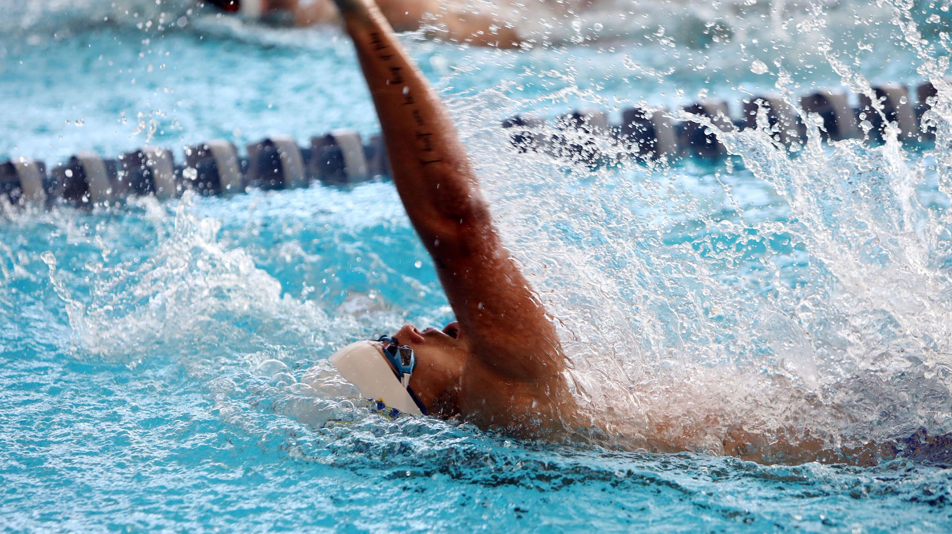 Men's swimming photo for Nov. 1 recap