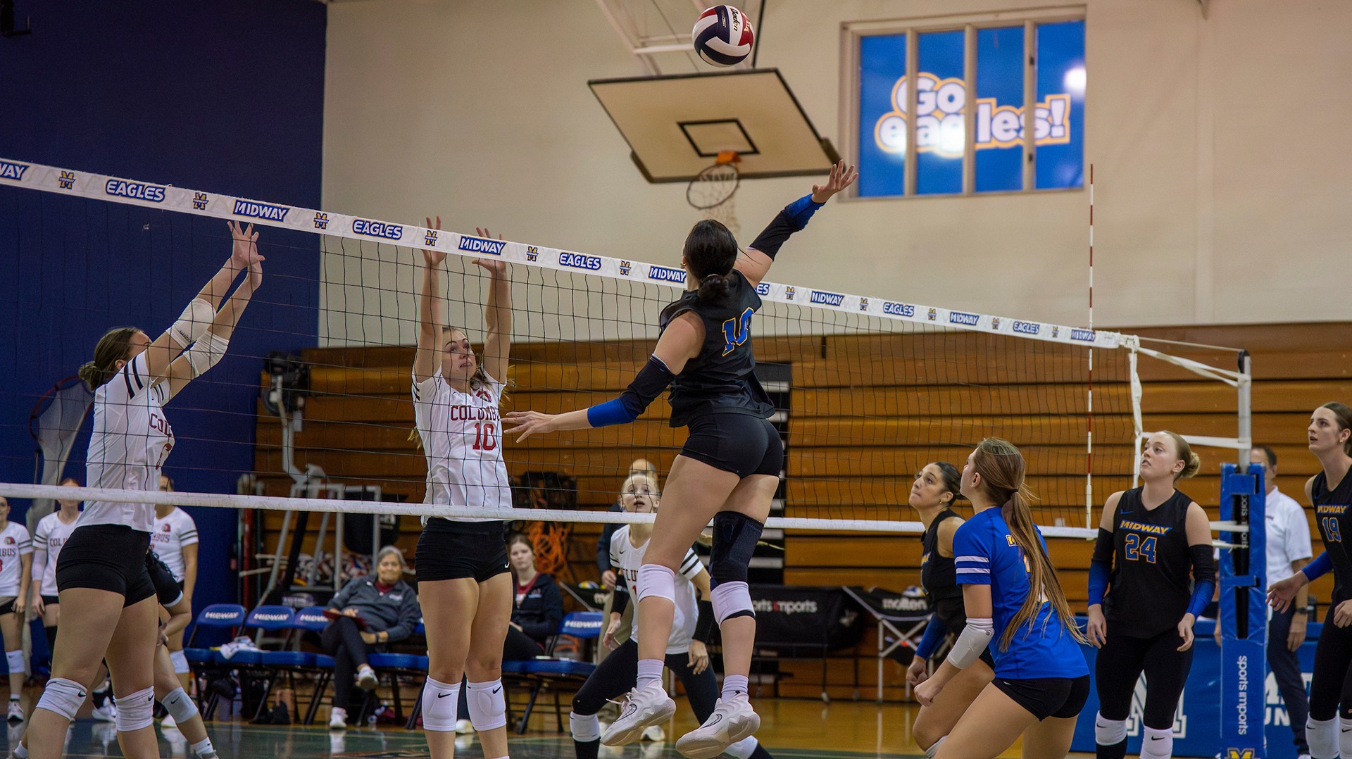 Alyssa Mediros for Spalding recap