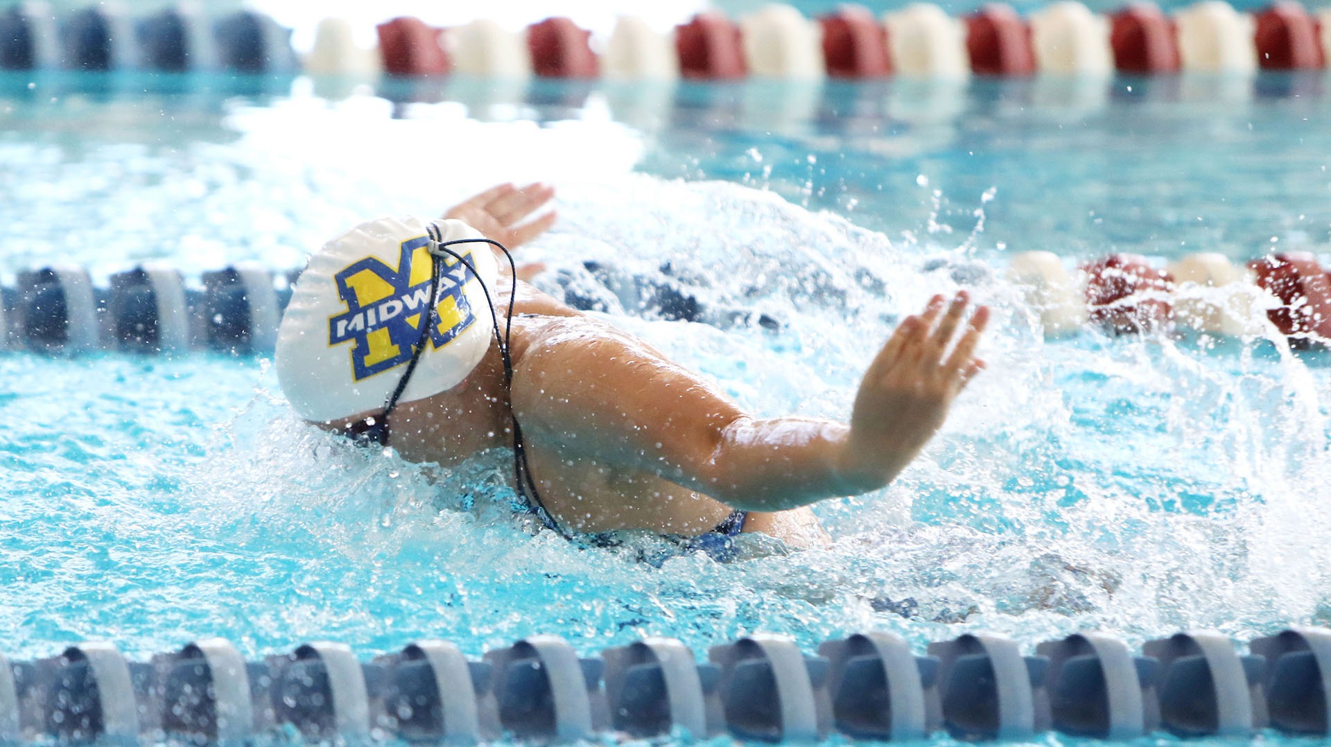 Swimming photo for Nov. 8 recap