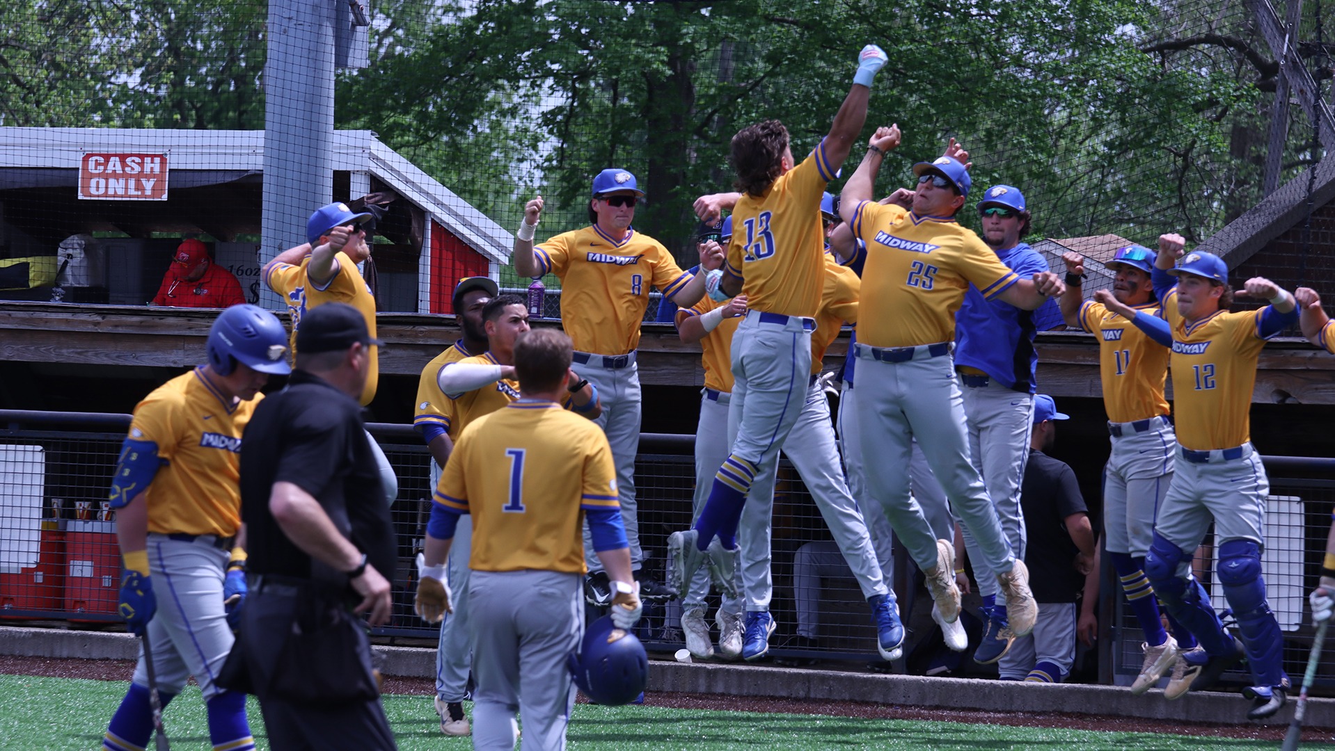 Baseball photo for IUS tourney recap