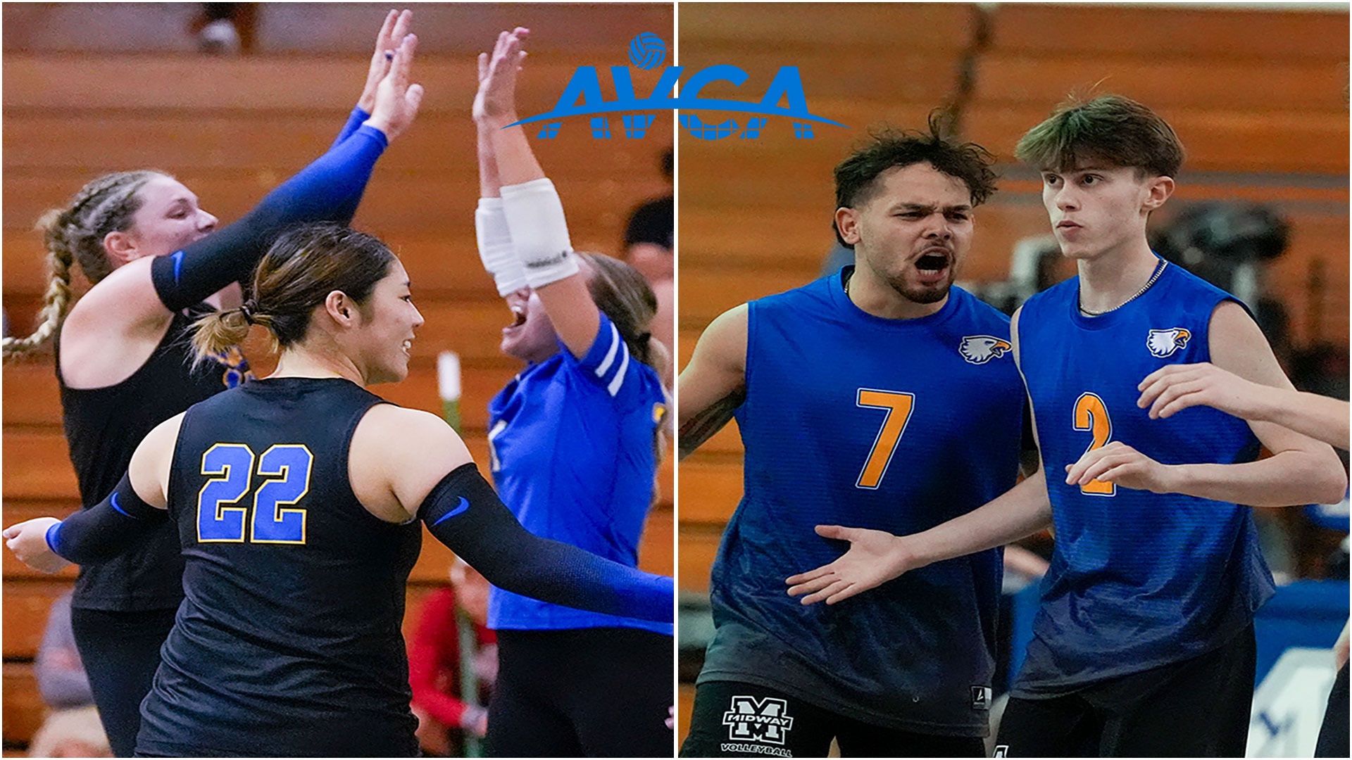 Volleyball AVCA photo