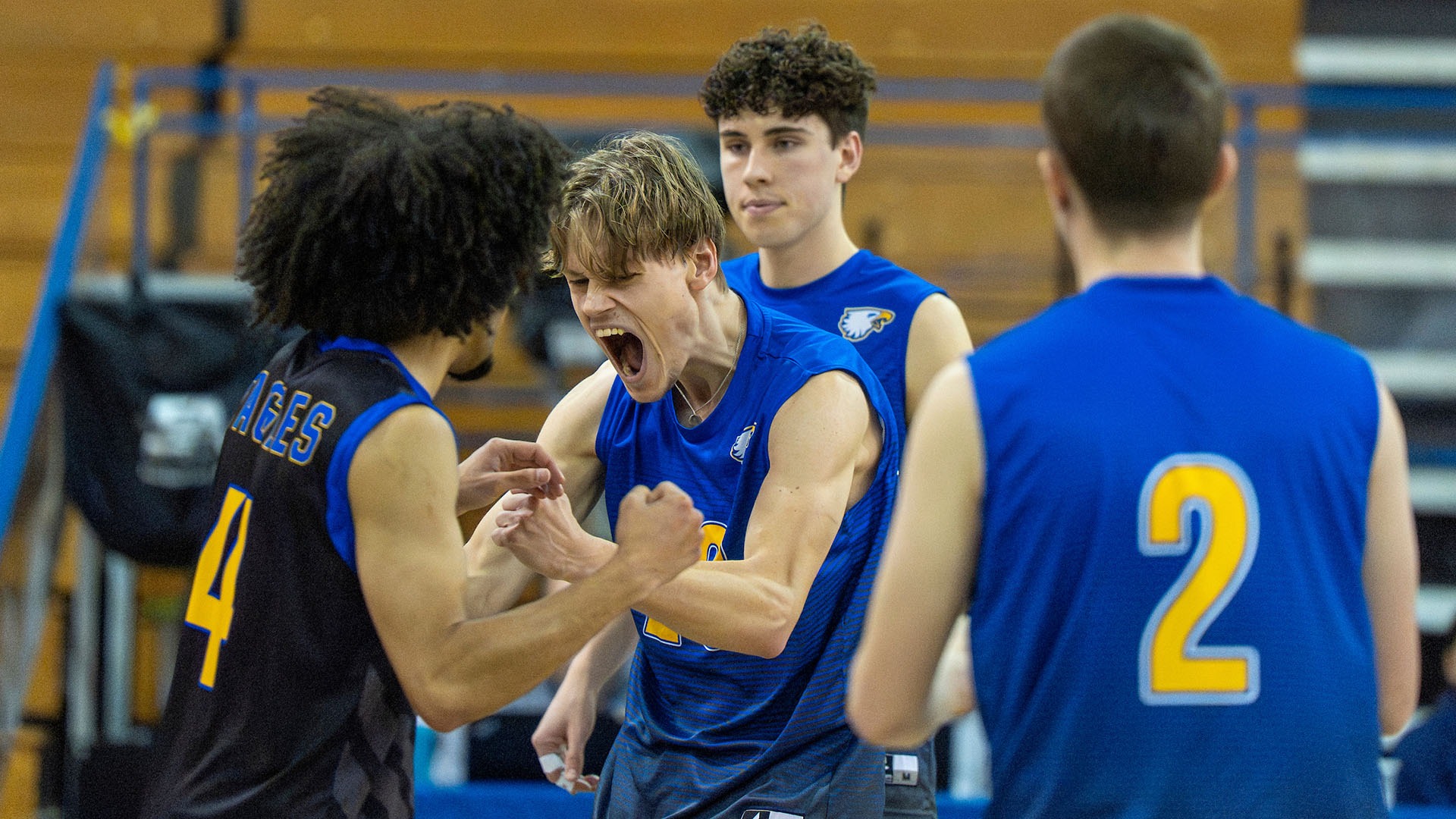 Men's volleyball photo for Franklin recap
