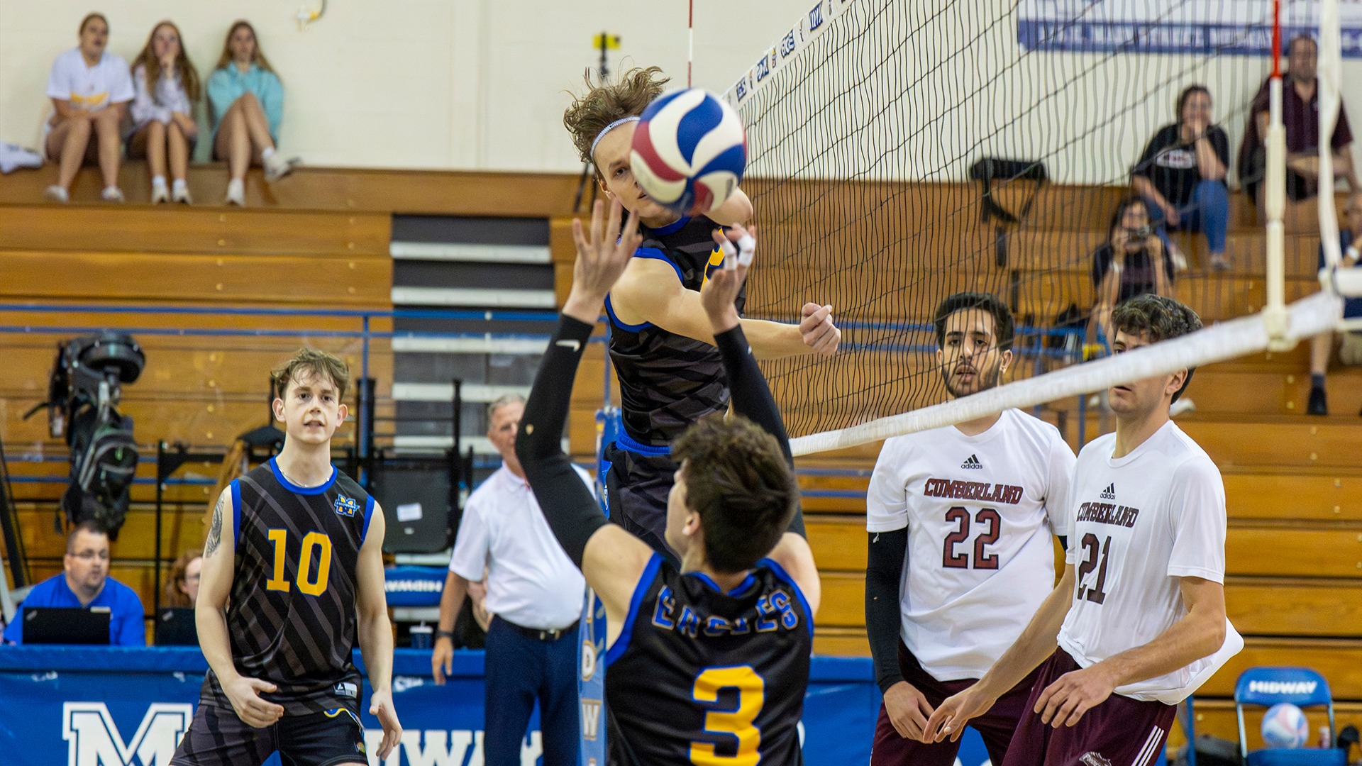 Men's volleyball photo for Brescia home recap