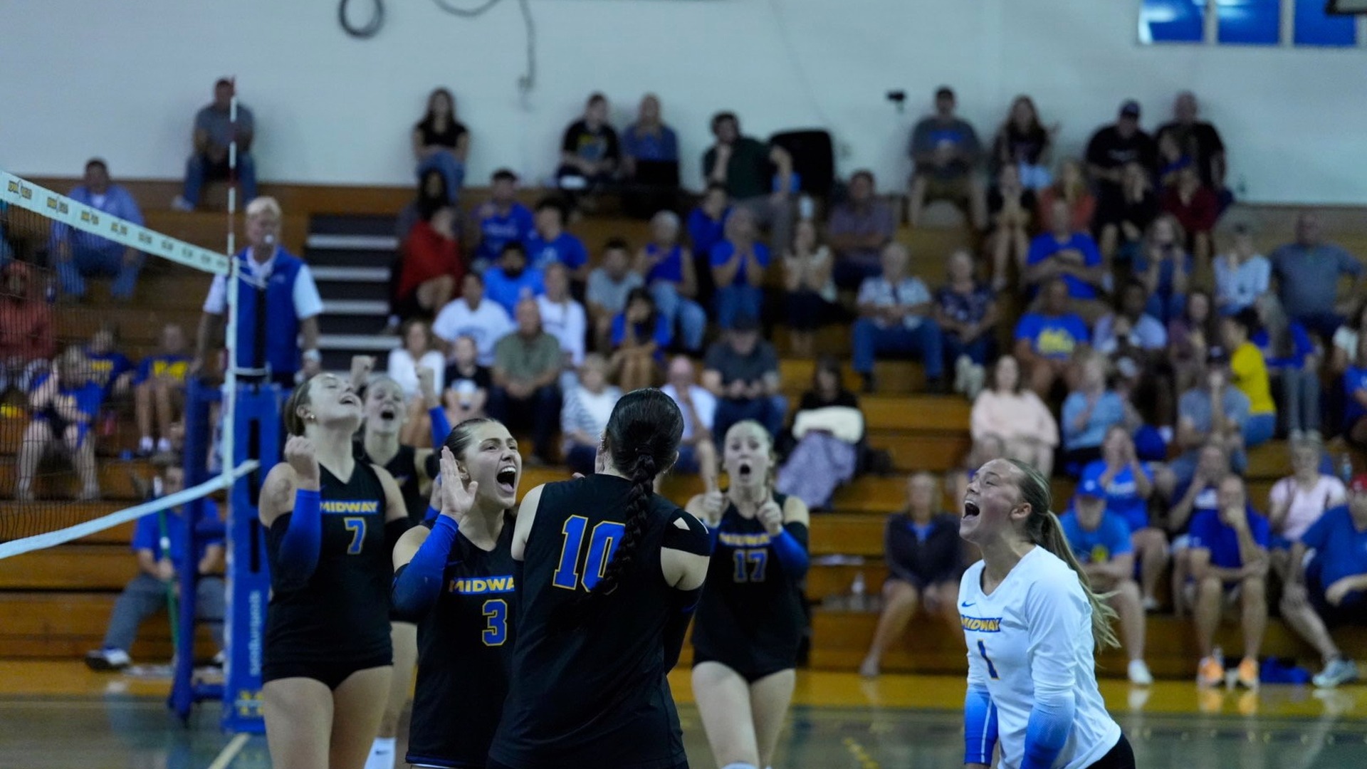 Group Celly