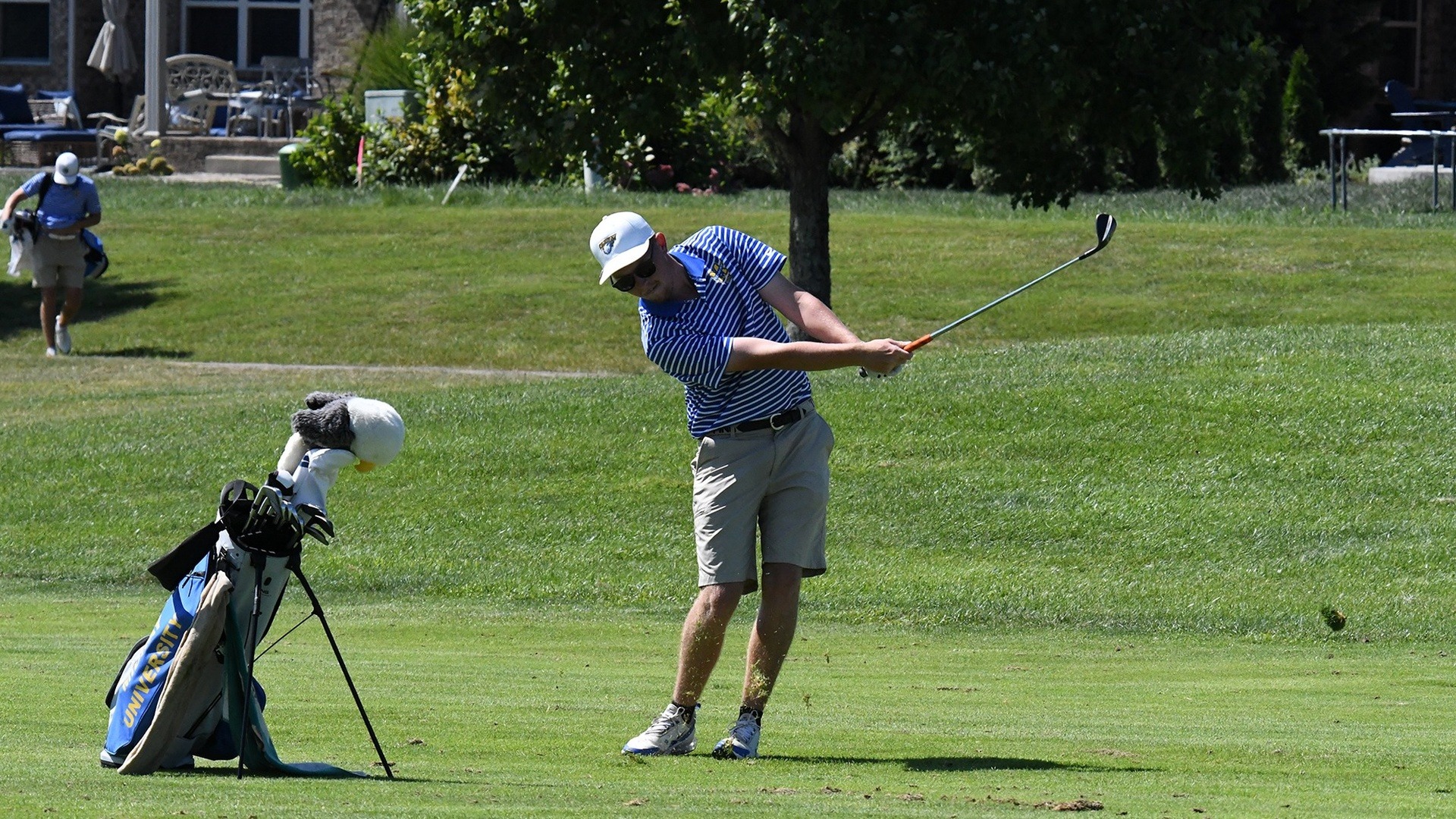 Mitchell in action