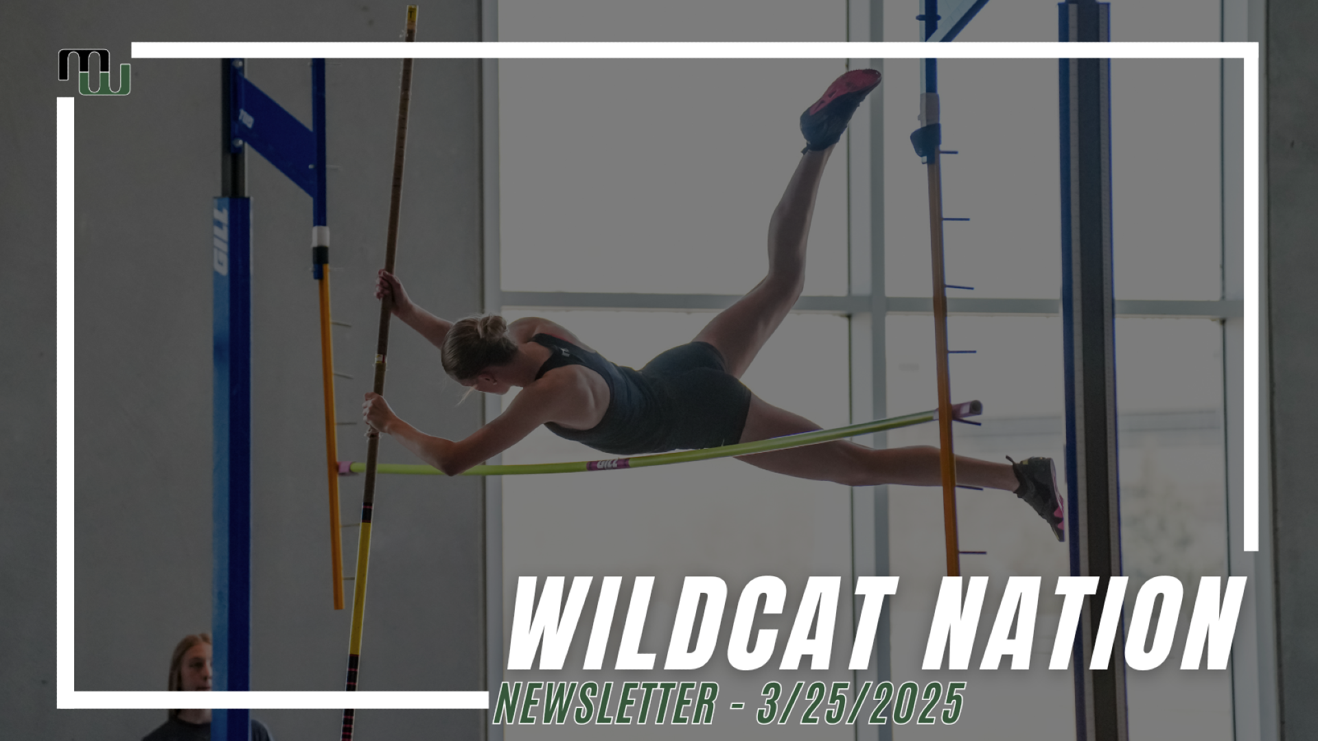Pole Vaulter