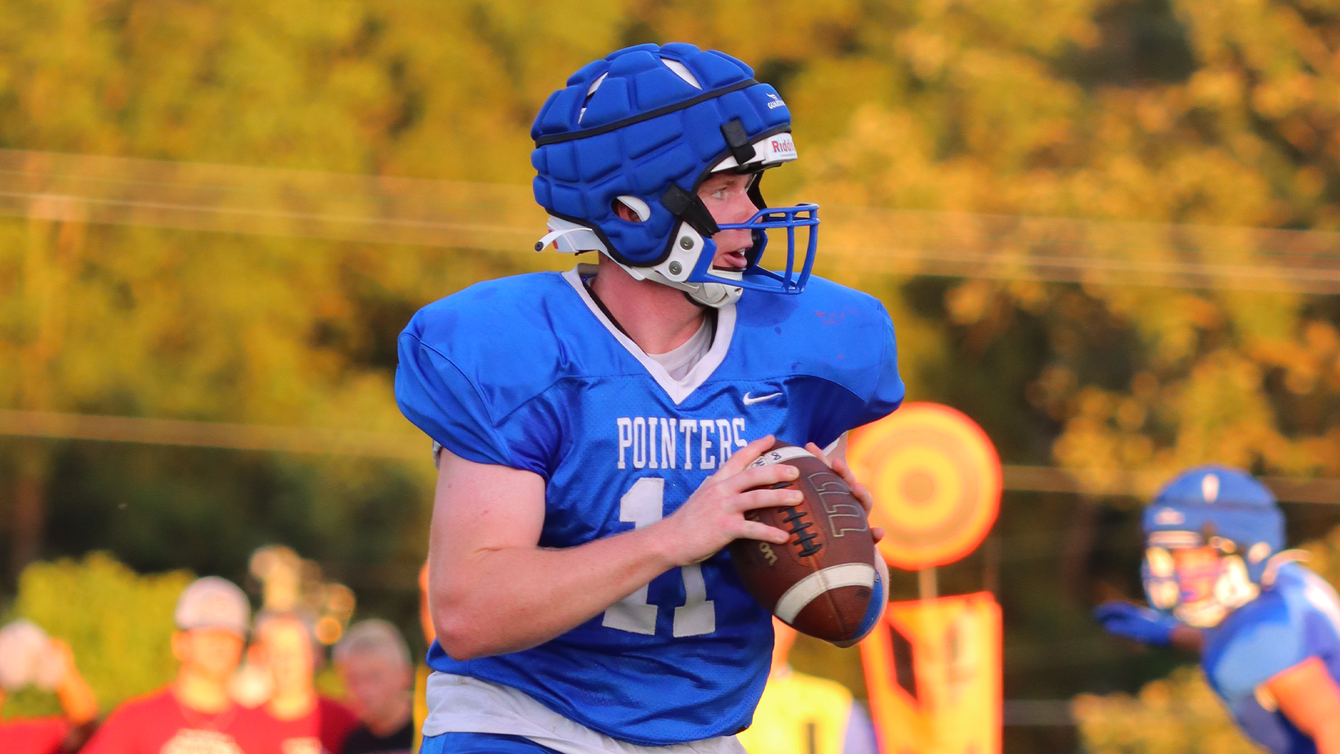 Pointers fall to Redbirds