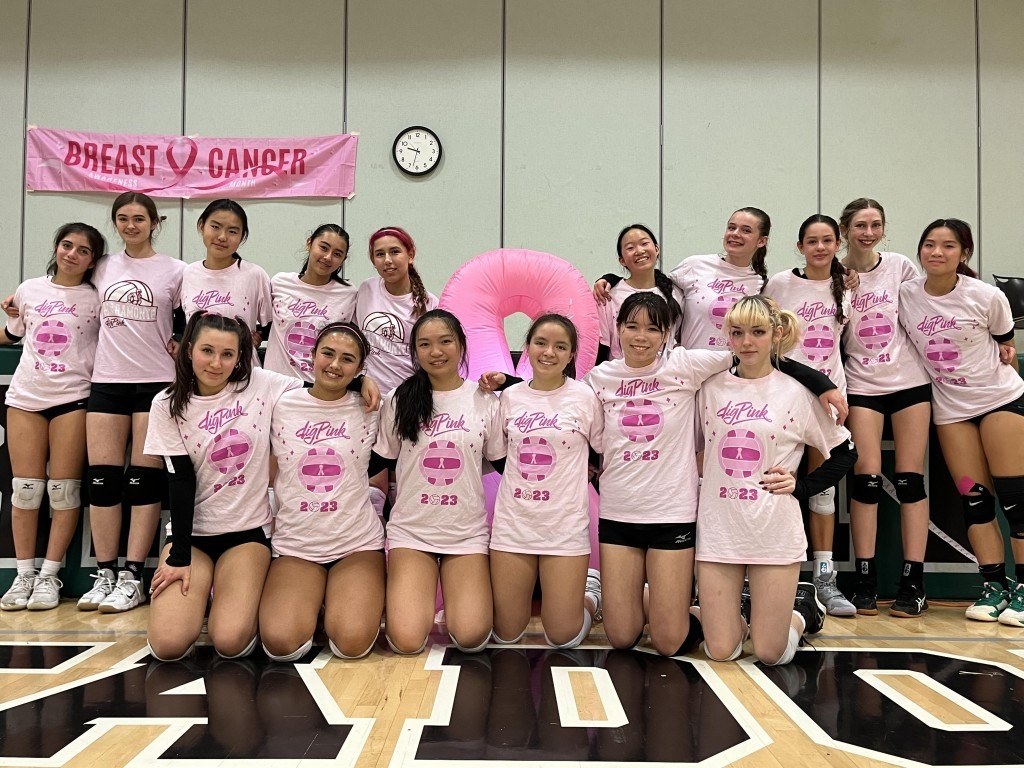 Women's Volleyball Dig Pink Promo