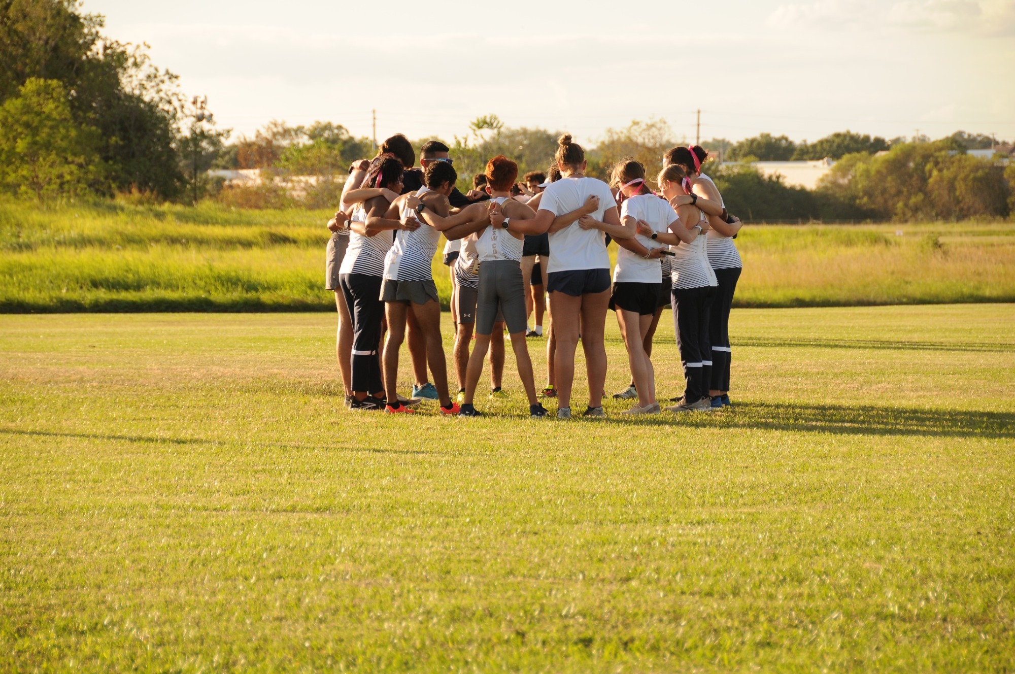 NCFXC