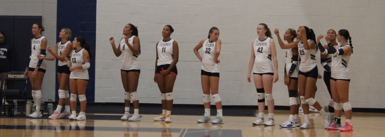 vb bench