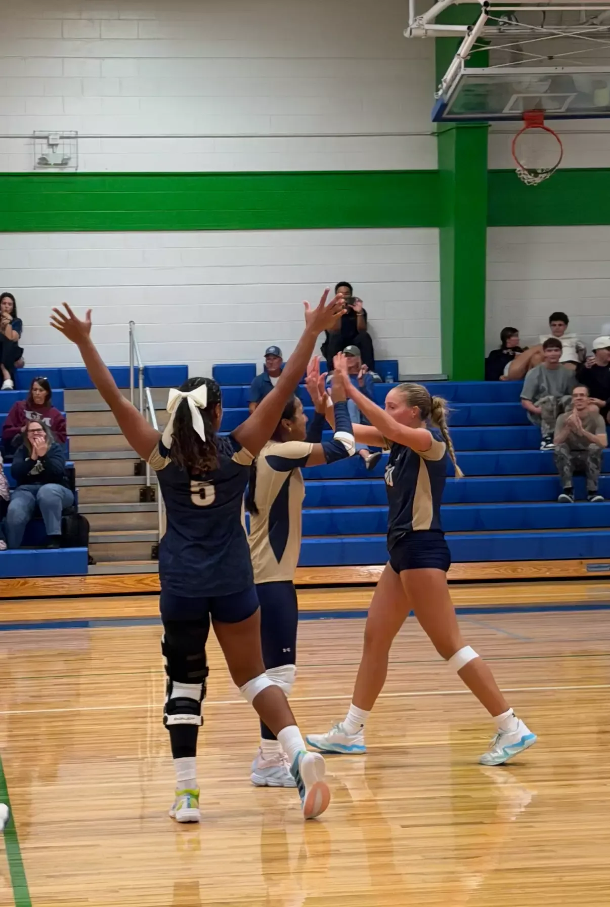VolleyPalozareacp