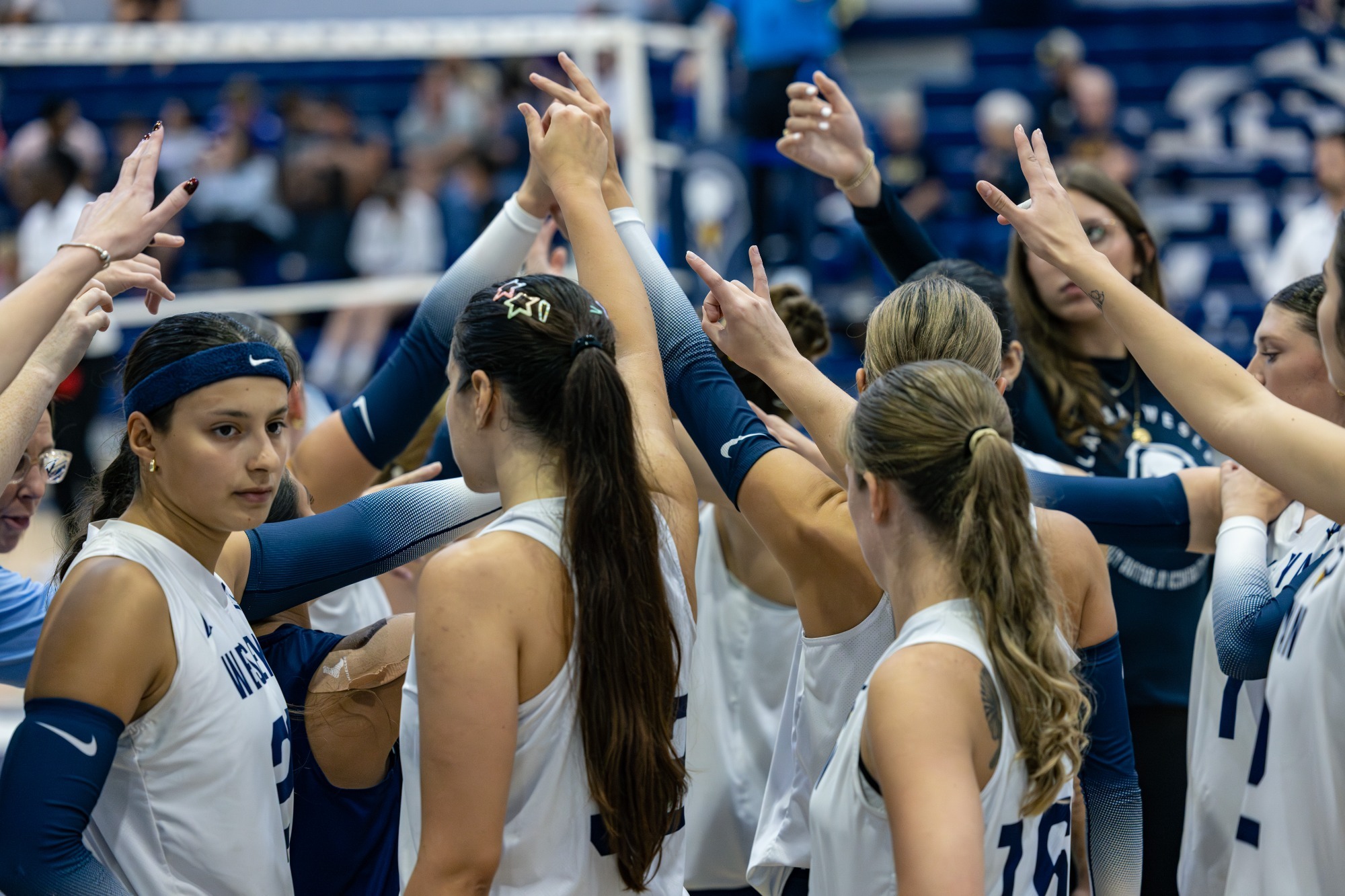 WVB