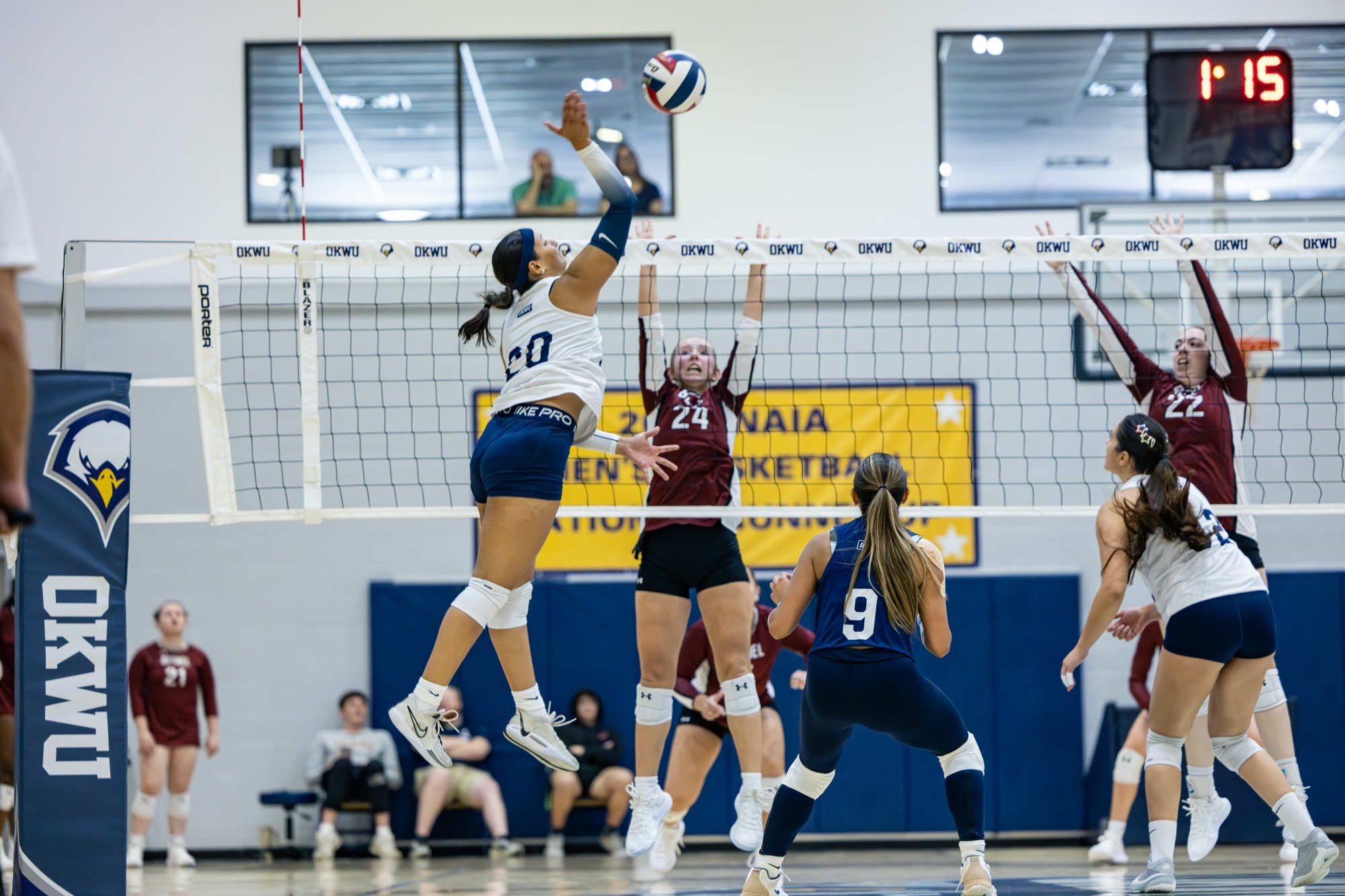 WVB