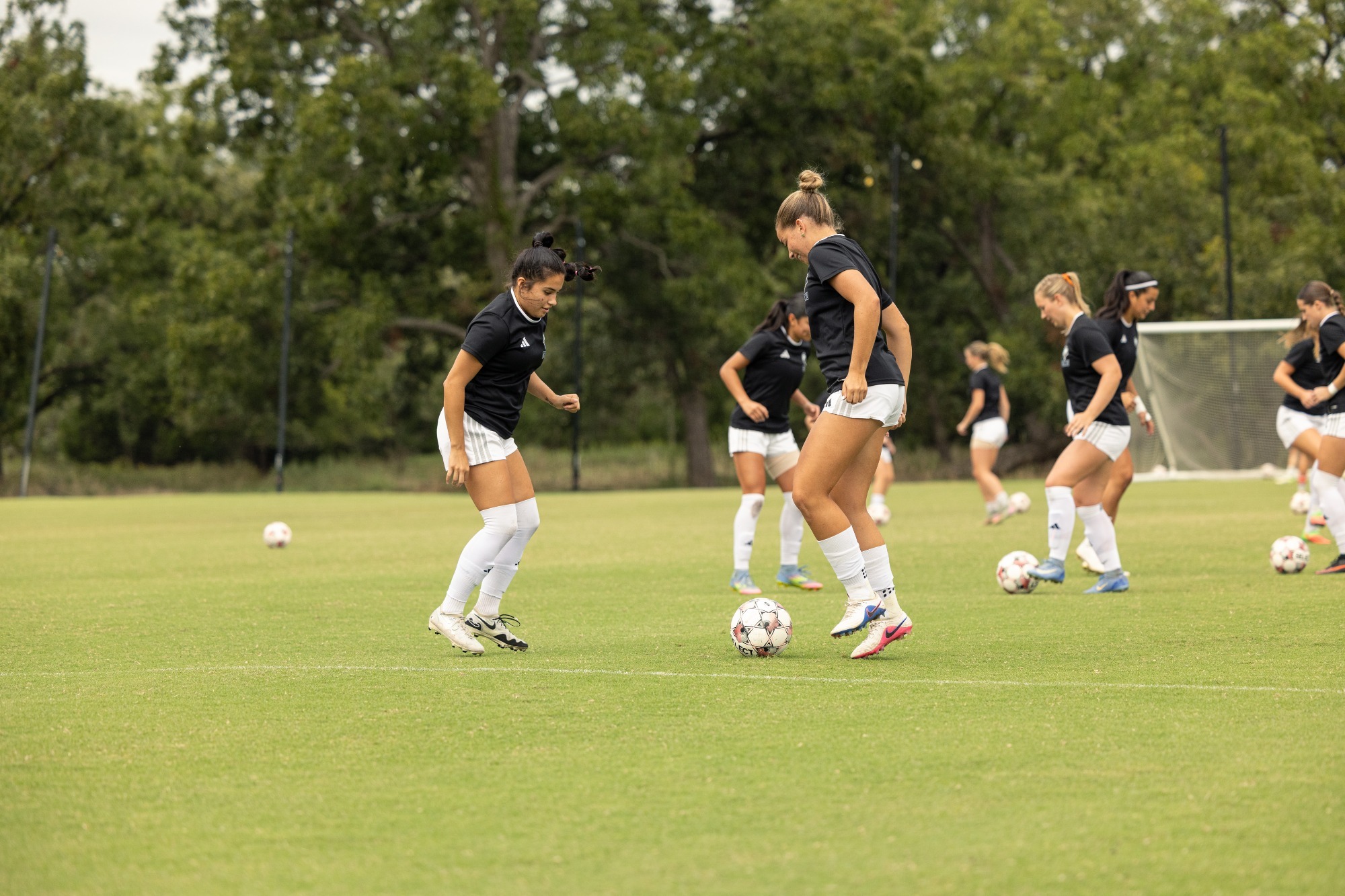 WSOC