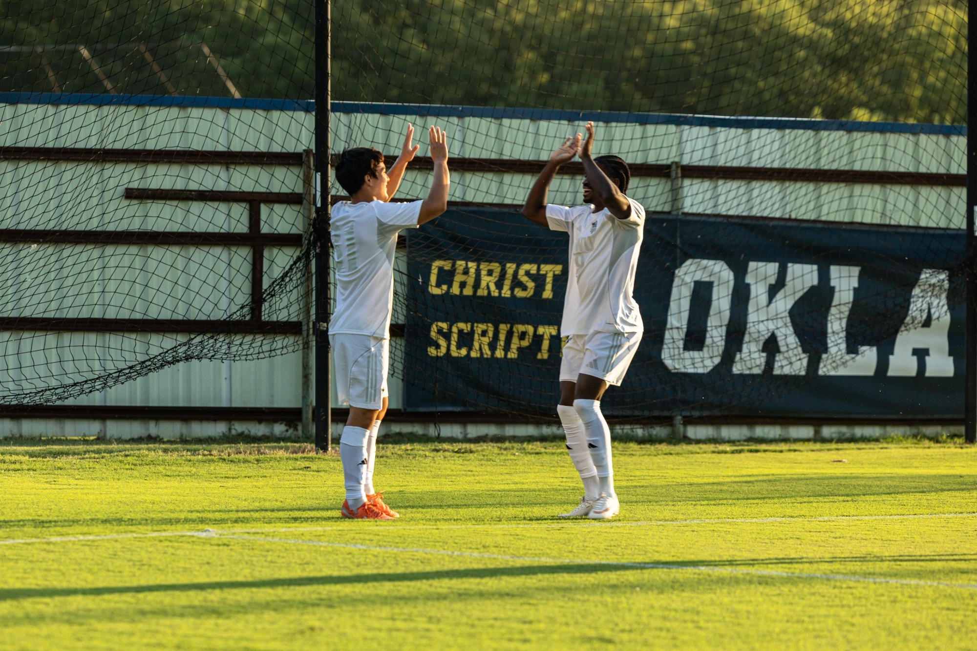 MSOC vs. Avila