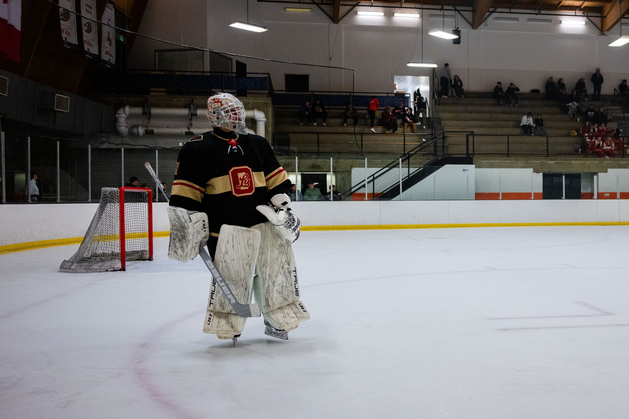 D1 Ice Hockey Senior Night 1/19/2024