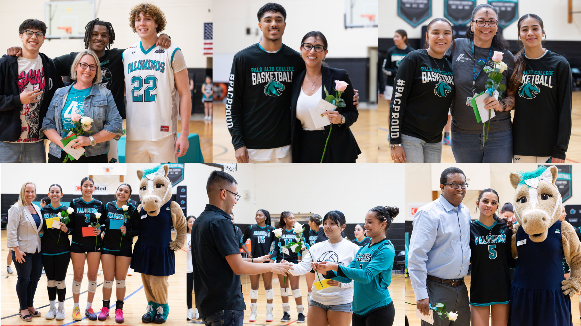 ACC Faculty Appreciation Website