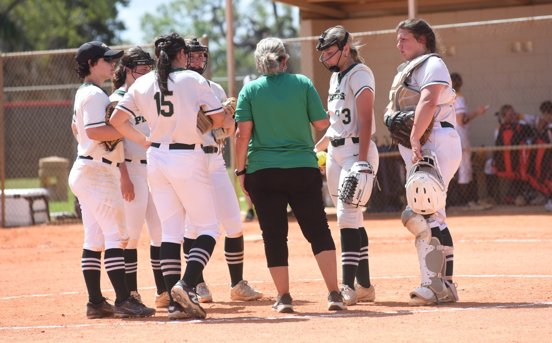 Mound Visit in Florida (Gm2)
