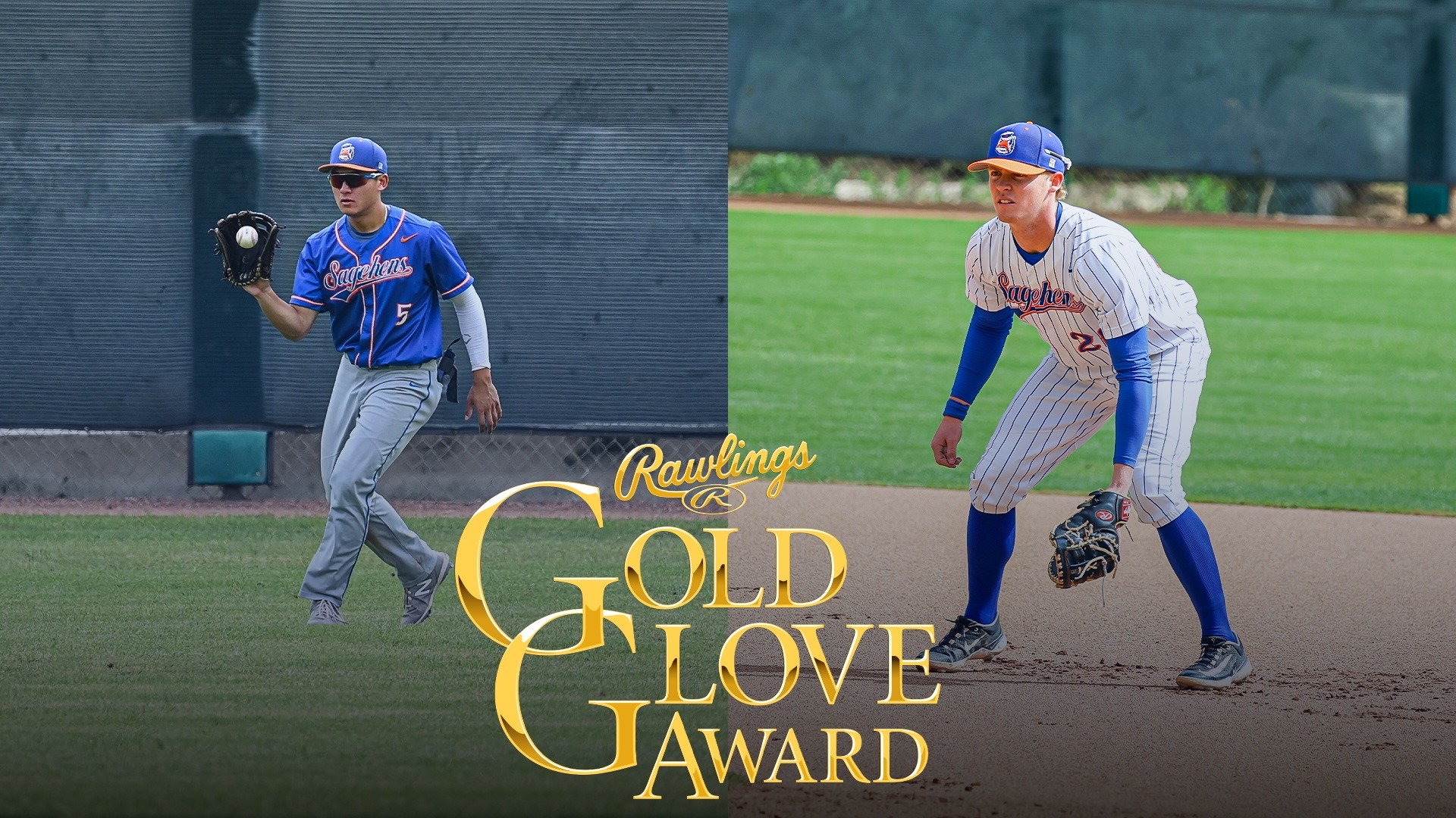 Legg/Ng Gold Glove