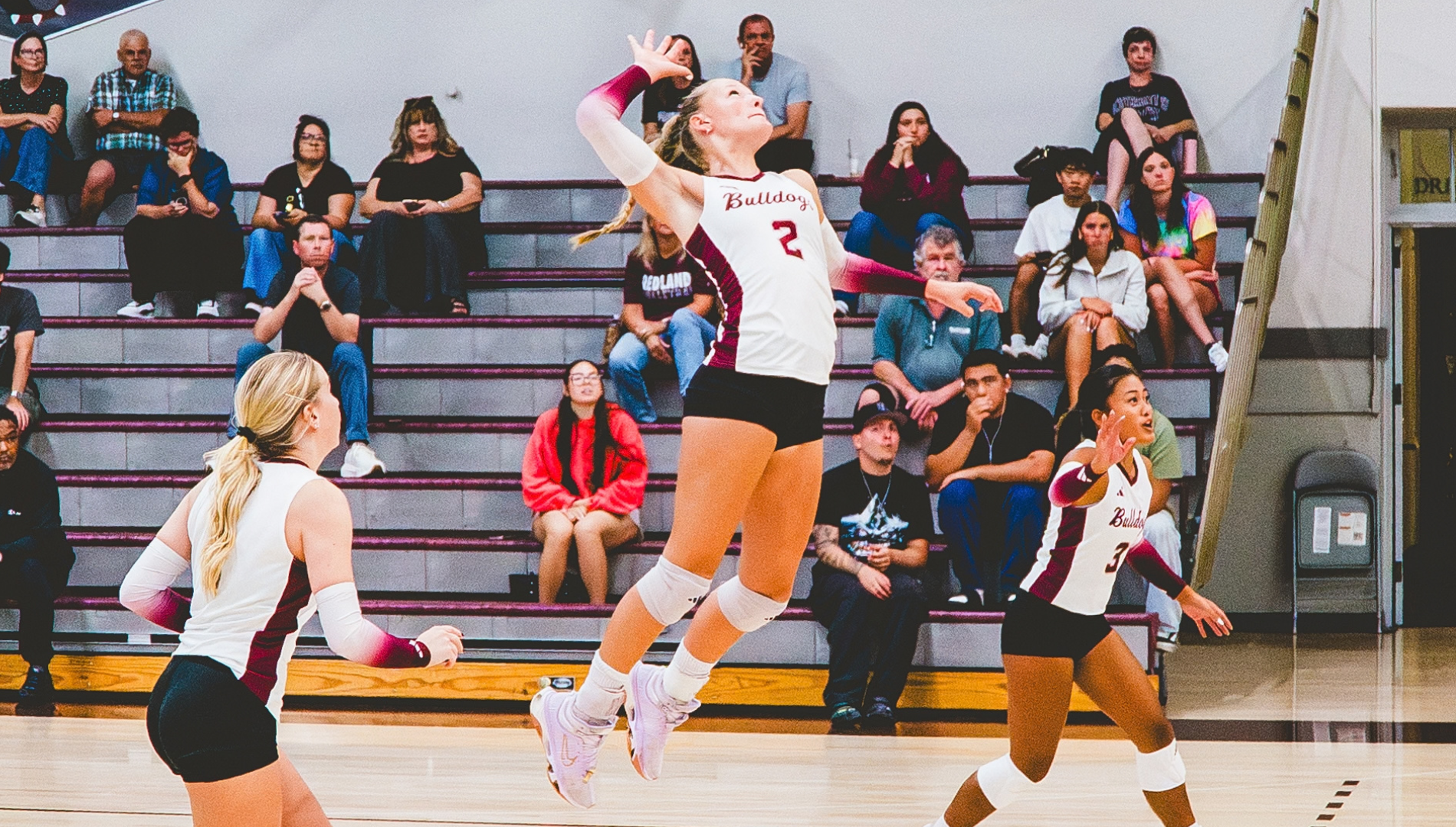 Women's Volleyball - Occidental